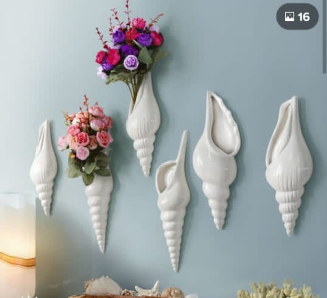 Wall sea shells Combo-Size:-11 inches- 6 Pcs Set