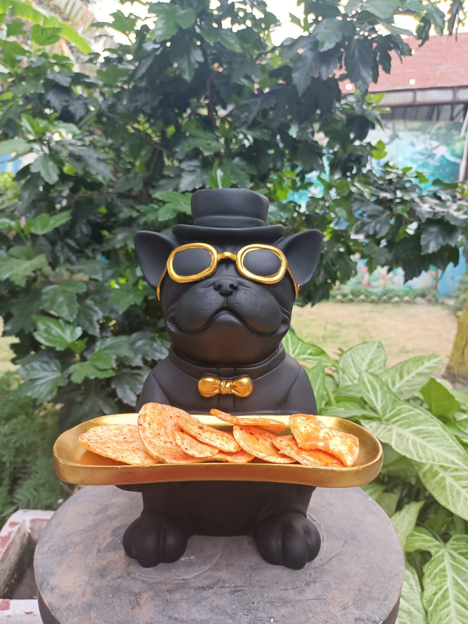 SERVING DOG
