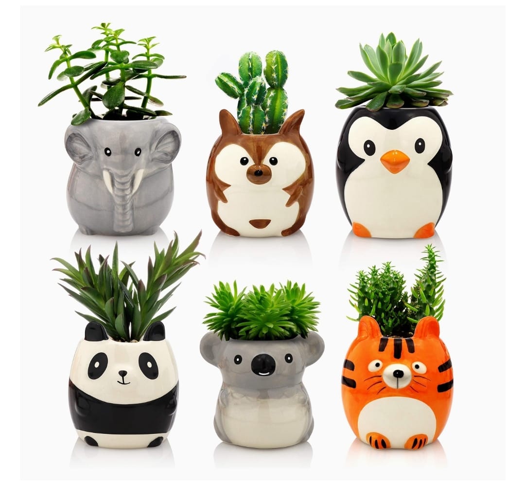 CUTE ANIMALS Set of 6 Pcs