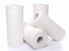 PAPER TOWEL ROLL - 600'