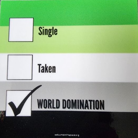 Single/Taken/World Domination Sticker