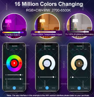 Smart LED Light Bulb