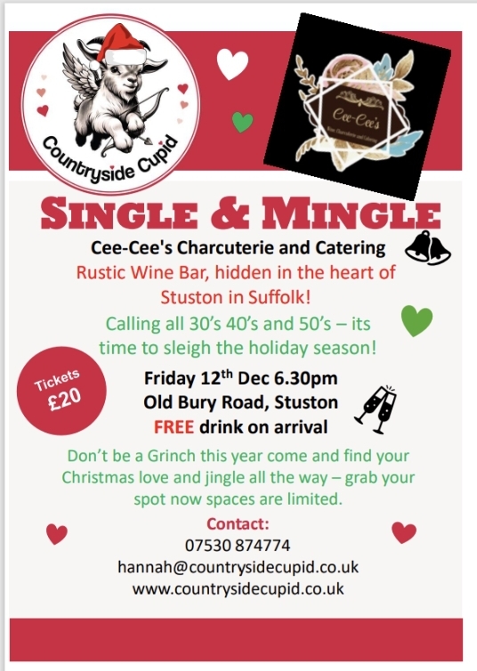 Single and Mingle Christmas event - Stuston