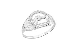 HZ0008725 Anillo de PLATA