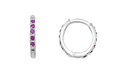 HZ00026125 Aretes de plata con piedras rojas