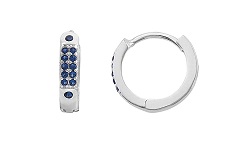 HZ00026625 Aretes de plata con piedras azules