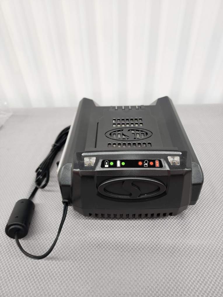 Snow Joe 100V Ionpro Max Power Battery Charger