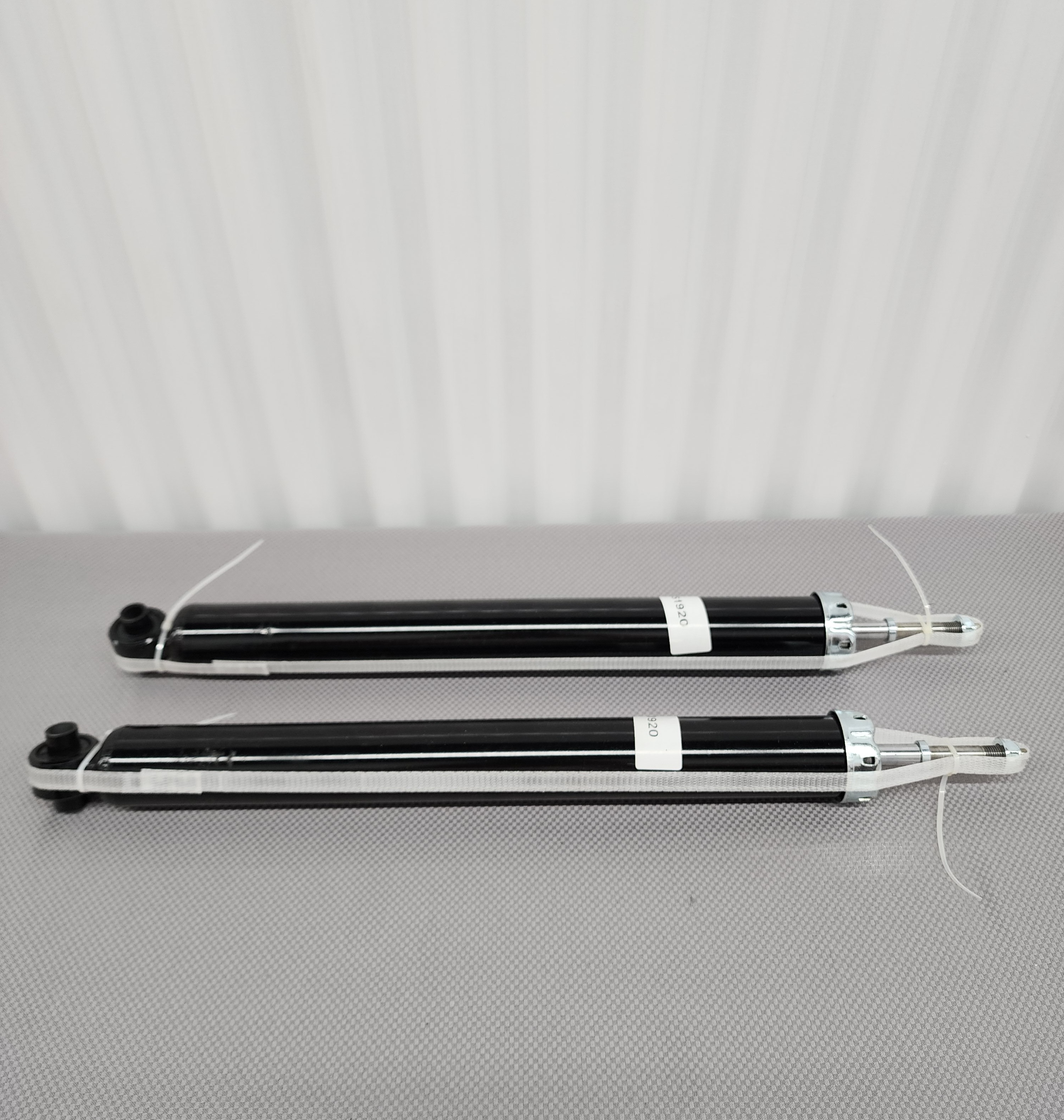 Dodge Challenger / Charger / Magnum /Chrysler Rear Shocks