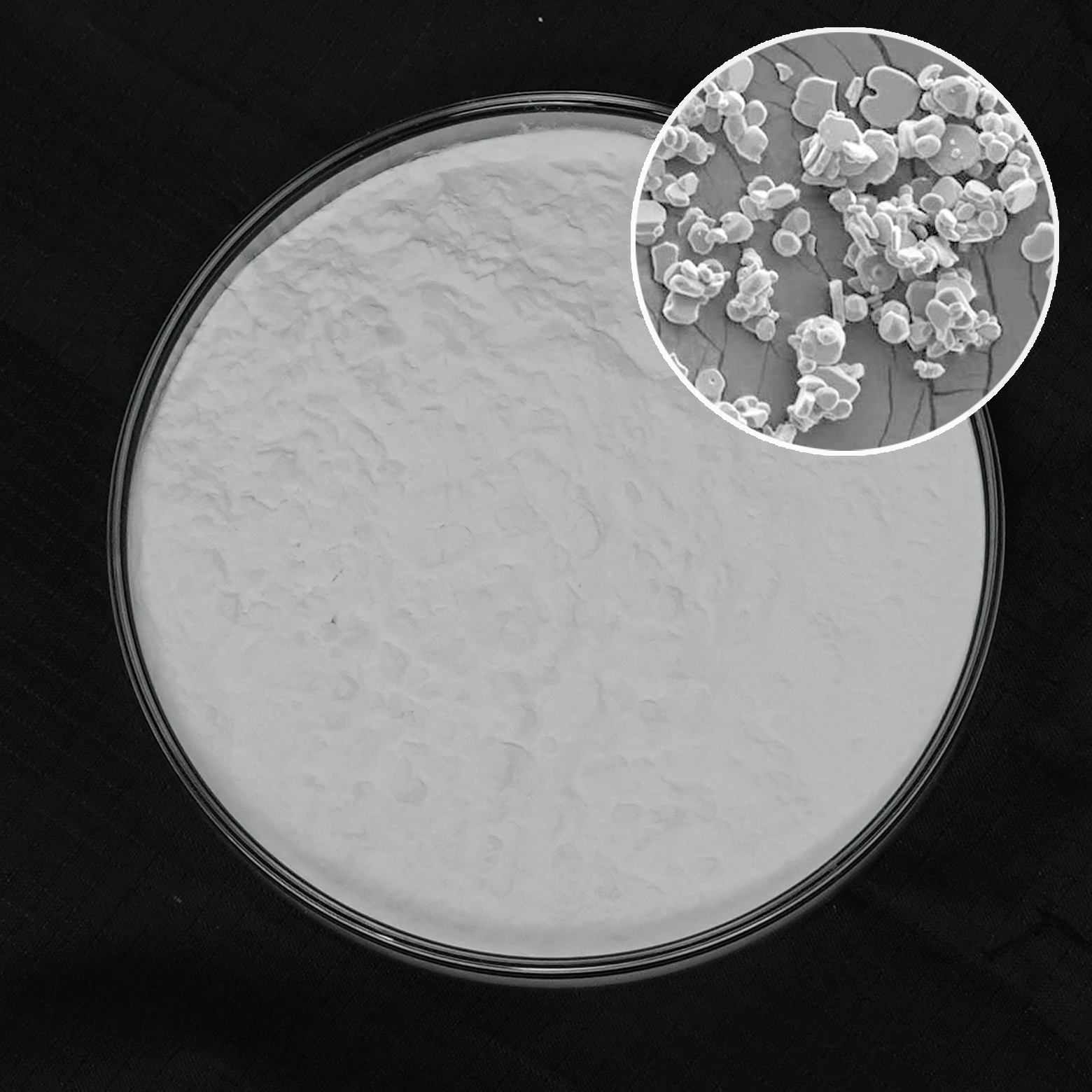 Platelet Alumina Powder