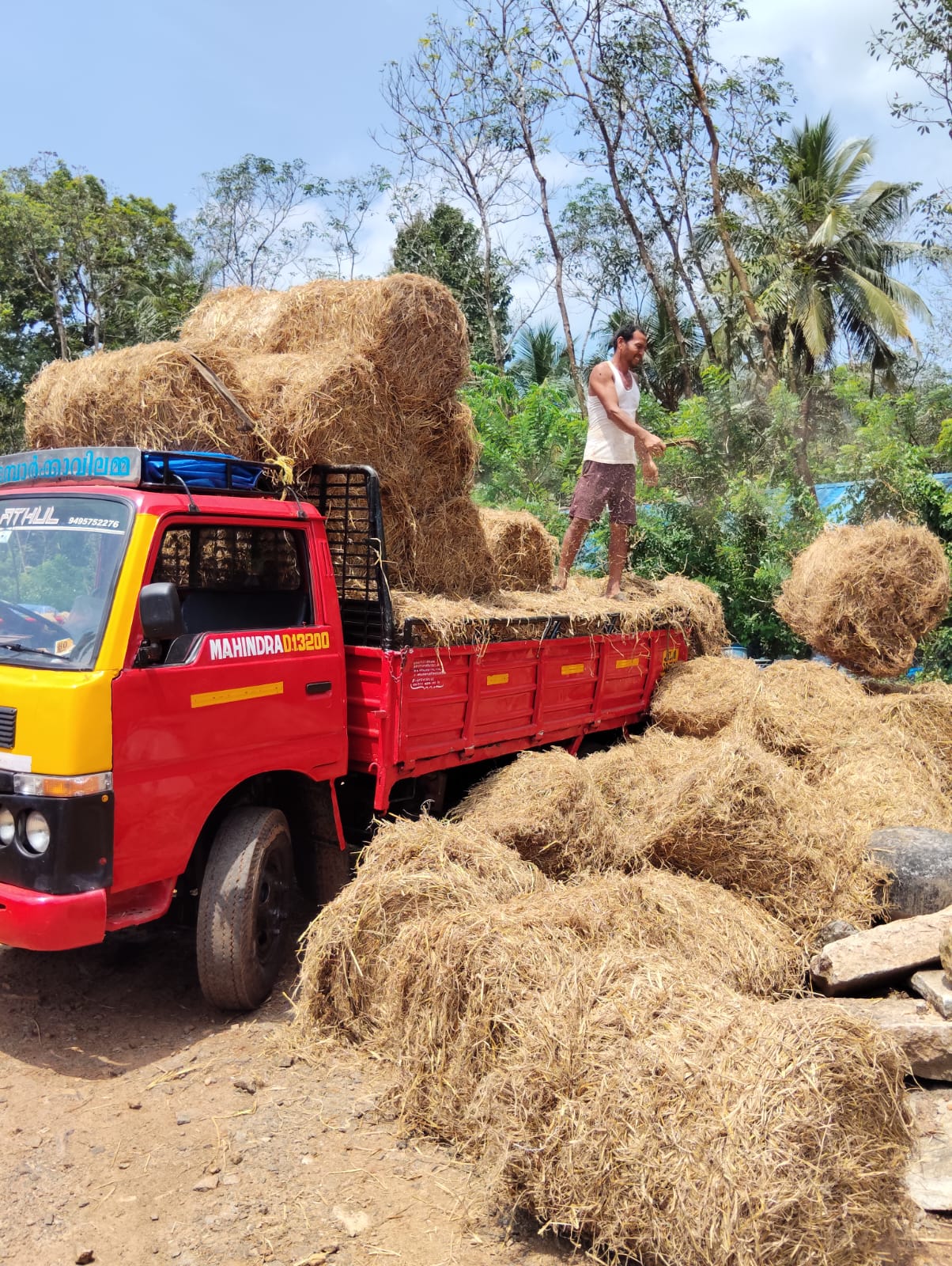 Gau/Nandi Feed Sponser