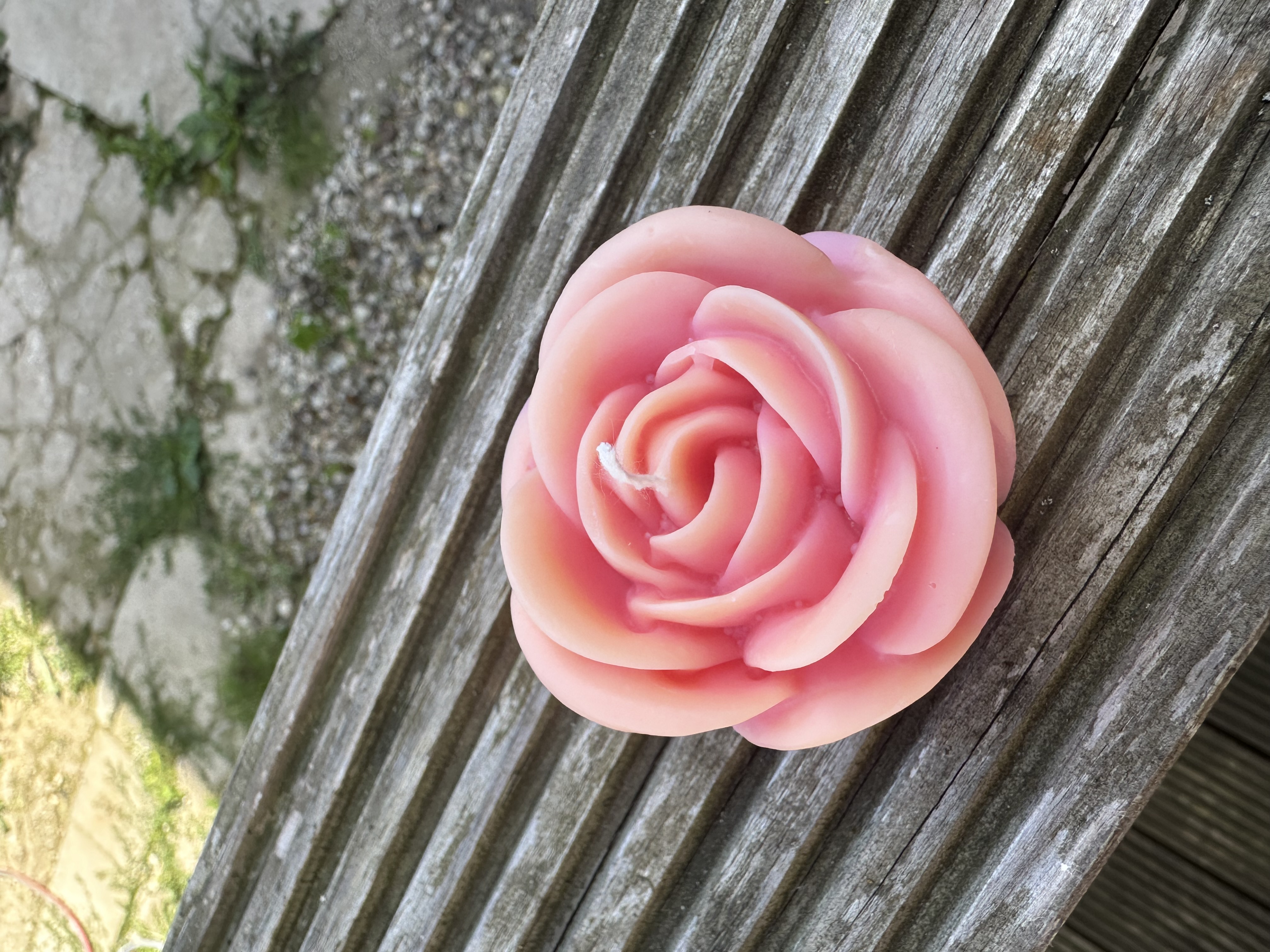 Rosafarbene Rosenkerze