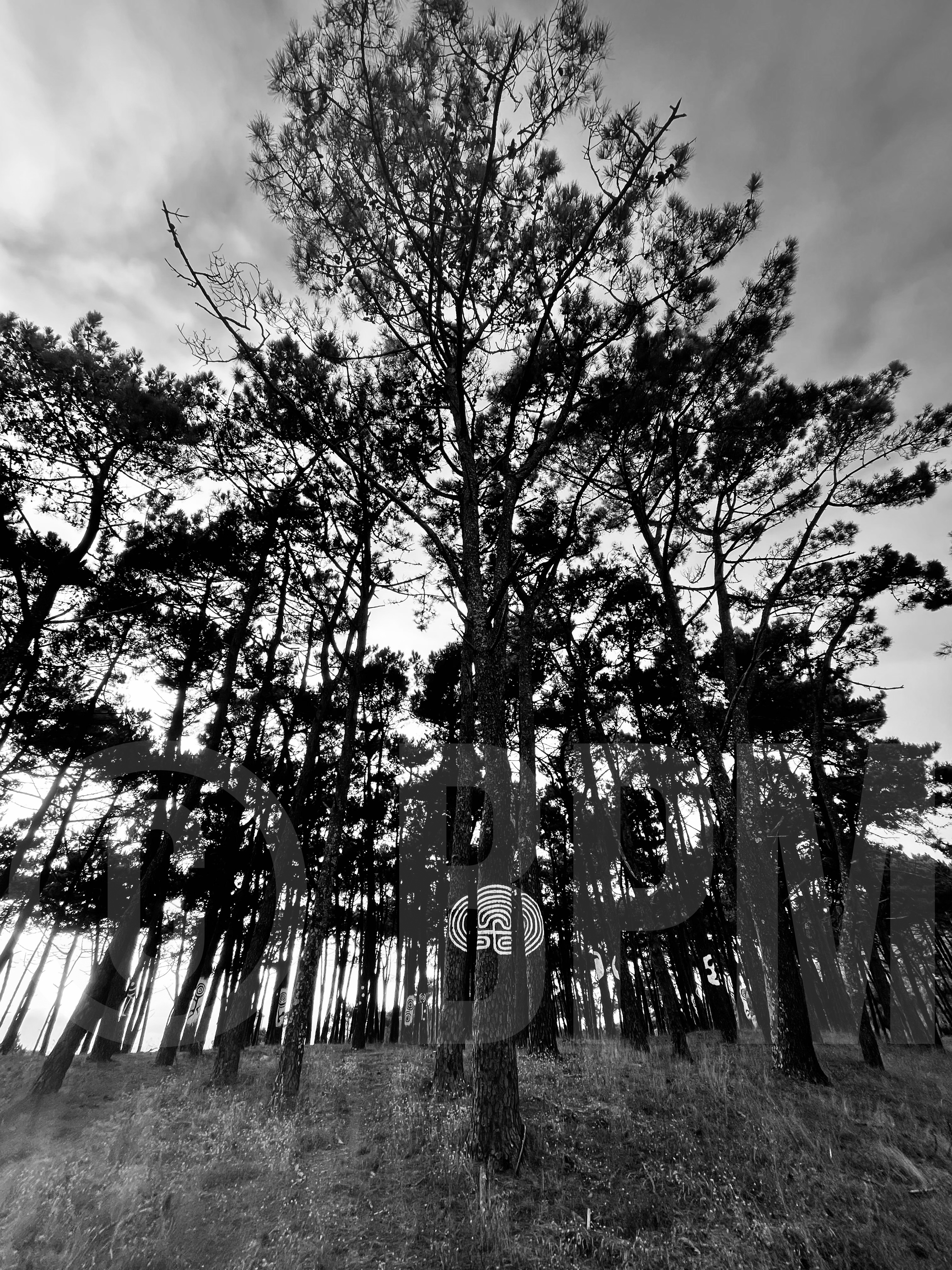 Los celtas que no fueron