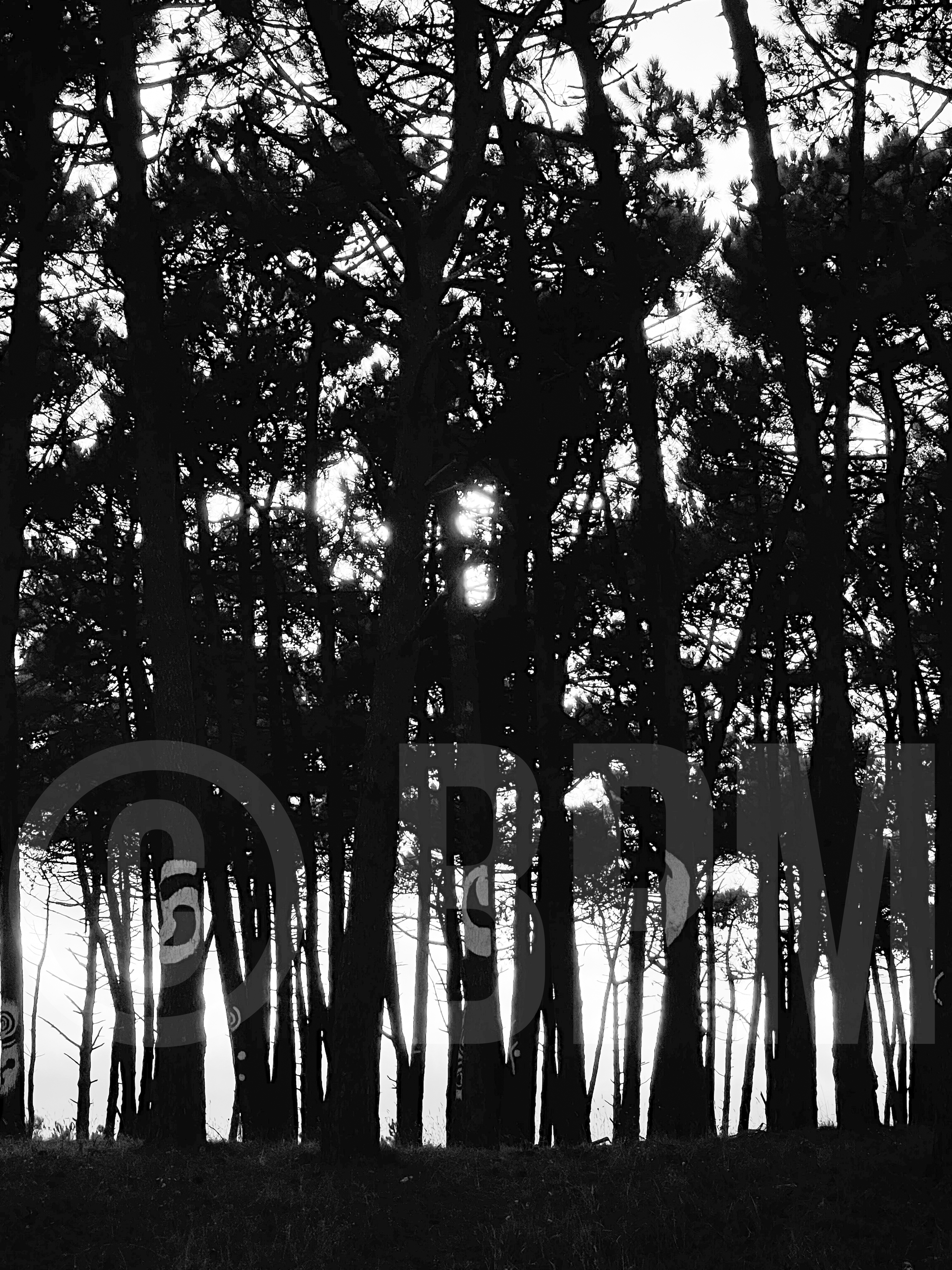 Los celtas que no fueron II