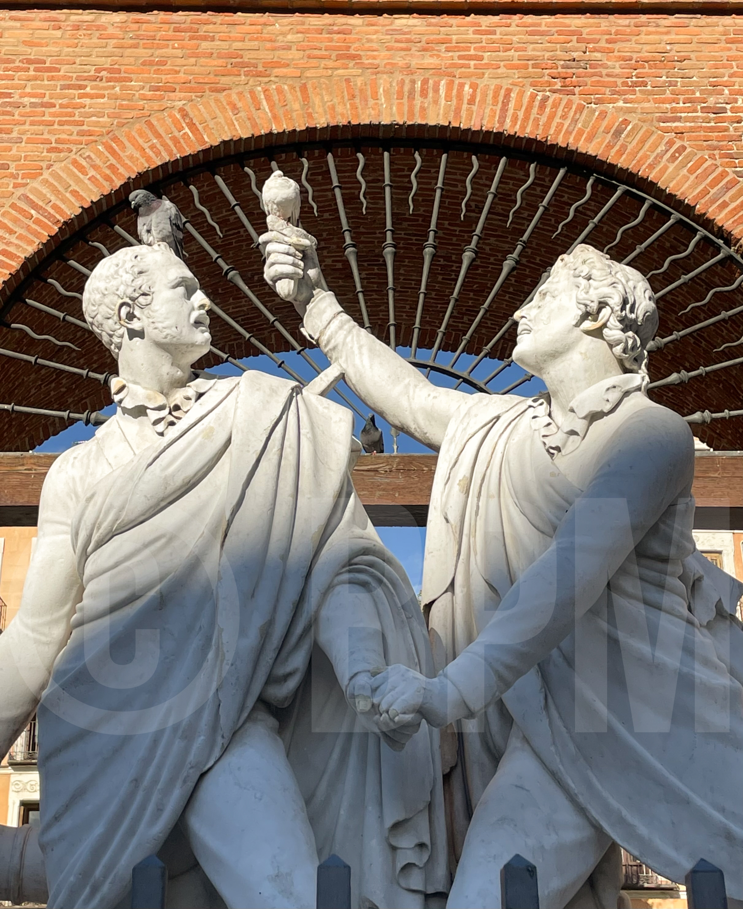 Las palomas de malasaña