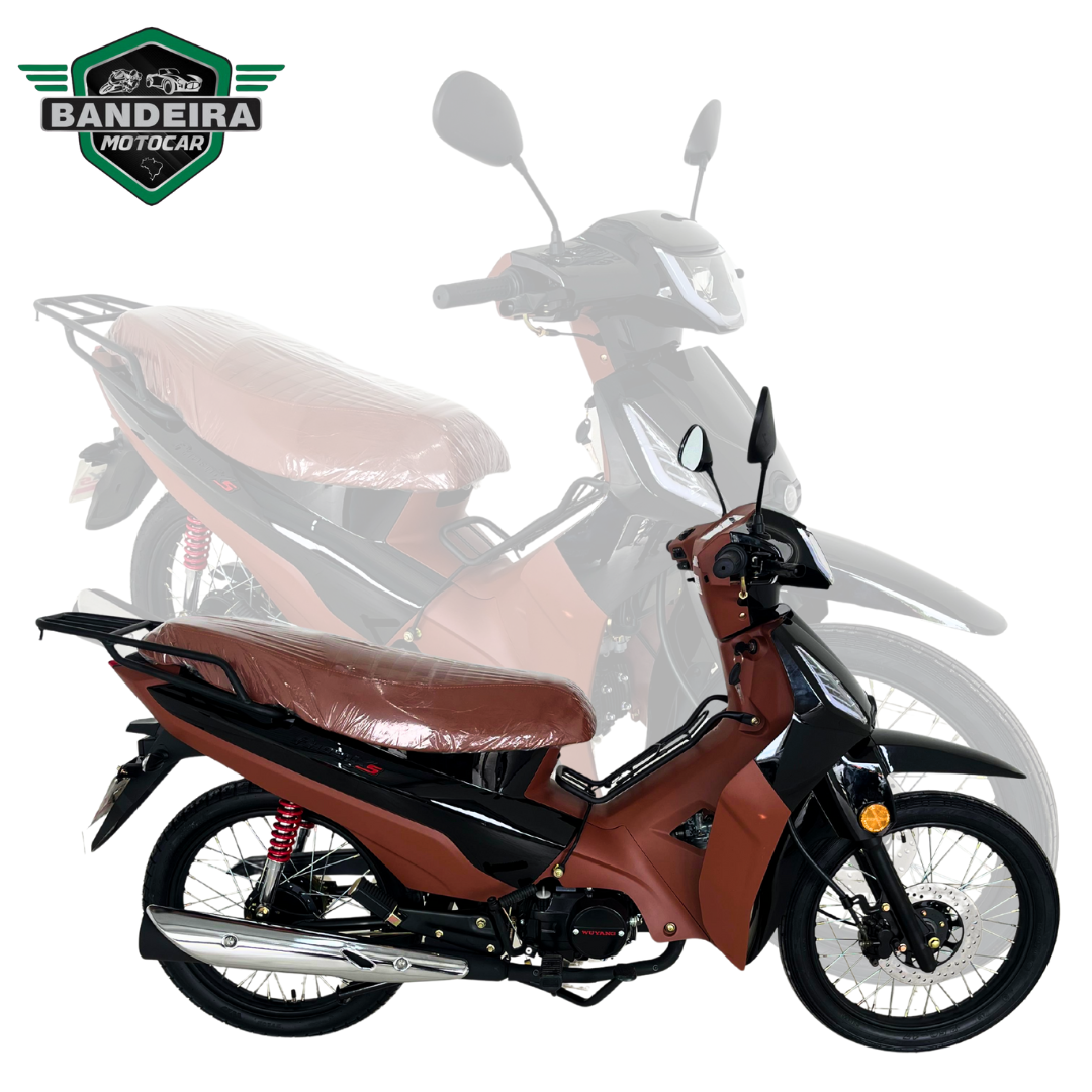 SHINERAY - PHOENIX-S-2025