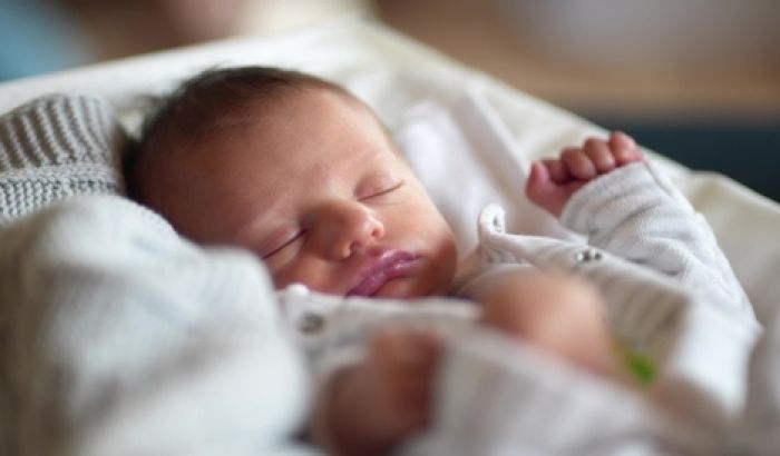 Stand for Truth, Stand for Life: Donate Today