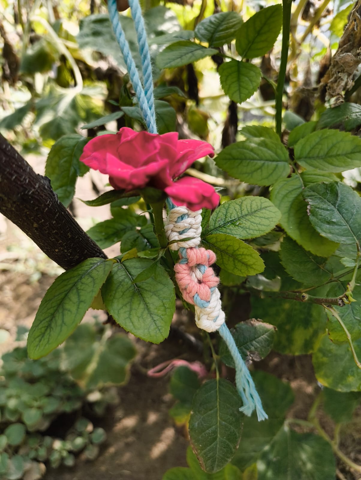 Handmade Macramé Flower Rakhi