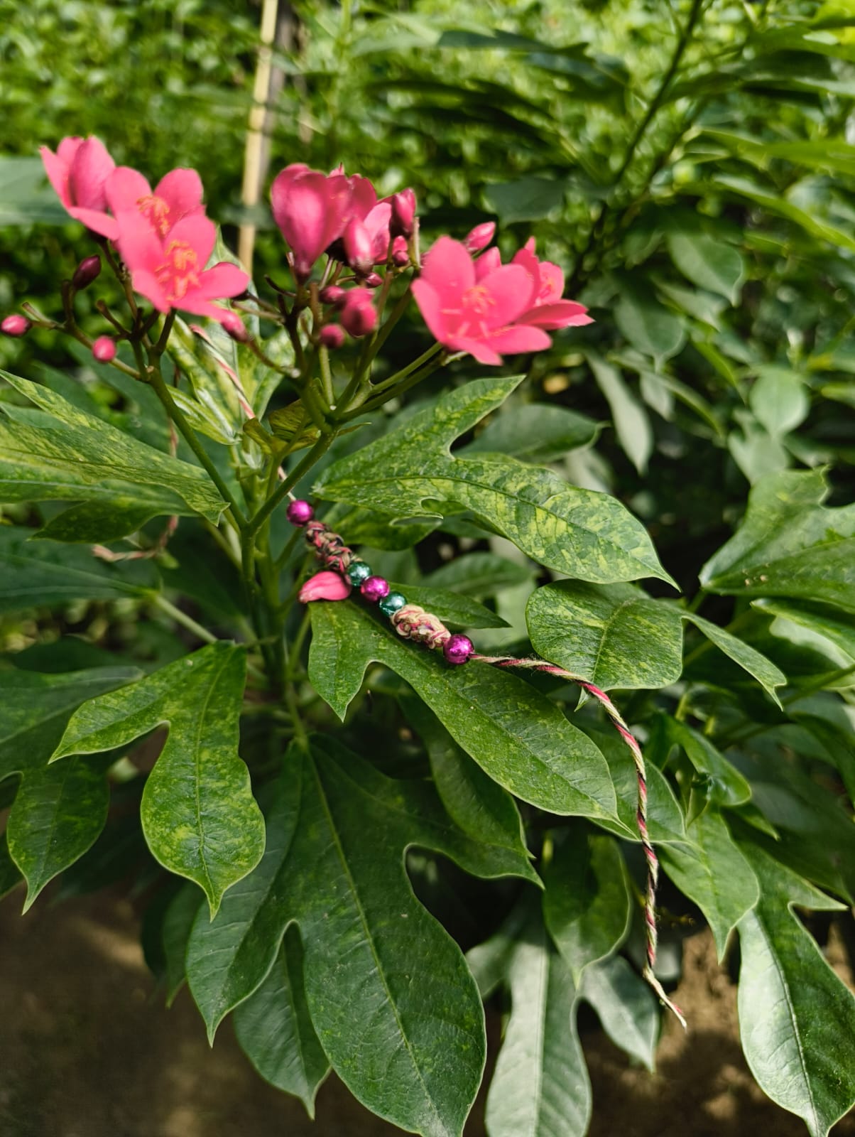 Handcrafted Beaded Rakhi