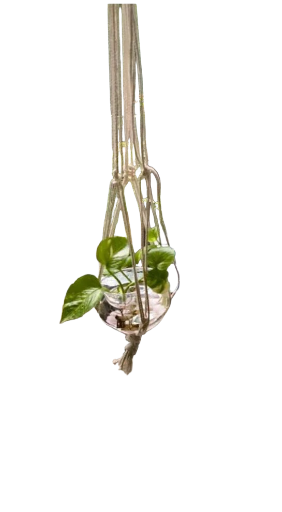 Hanging Macramé Plant Holder