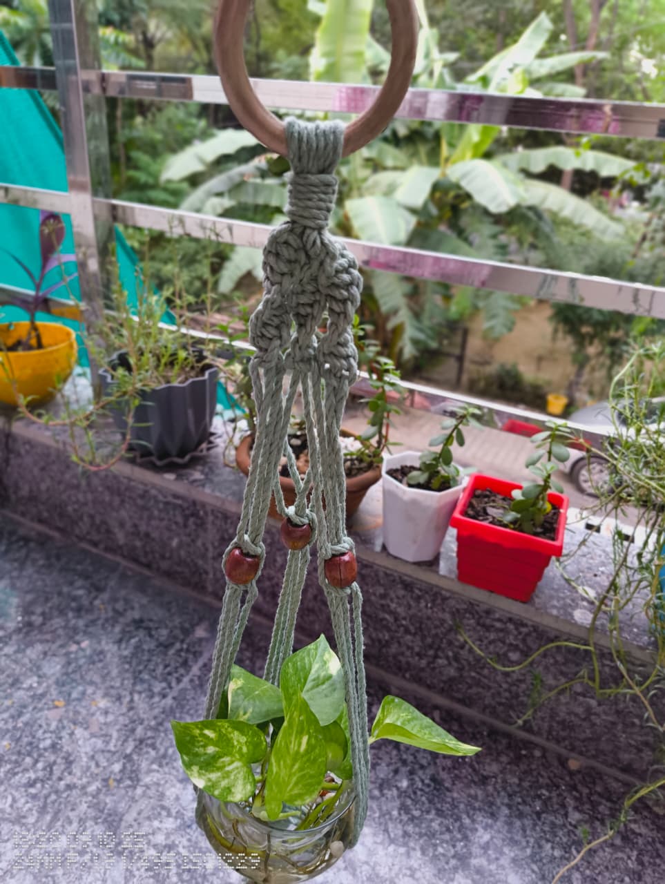 Macrame Plant Hanger