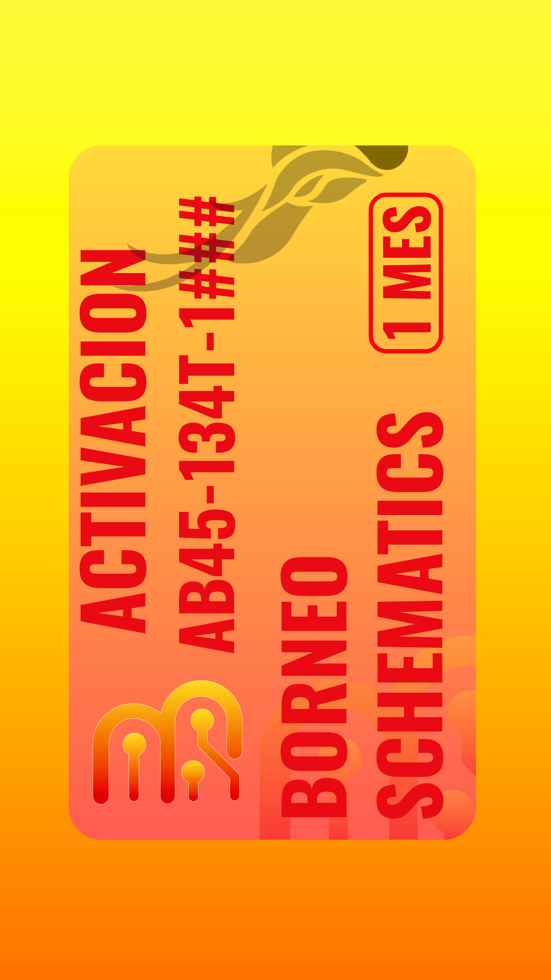 (PARAGUAY) Activación de Borneo Schematics - 1 Mes