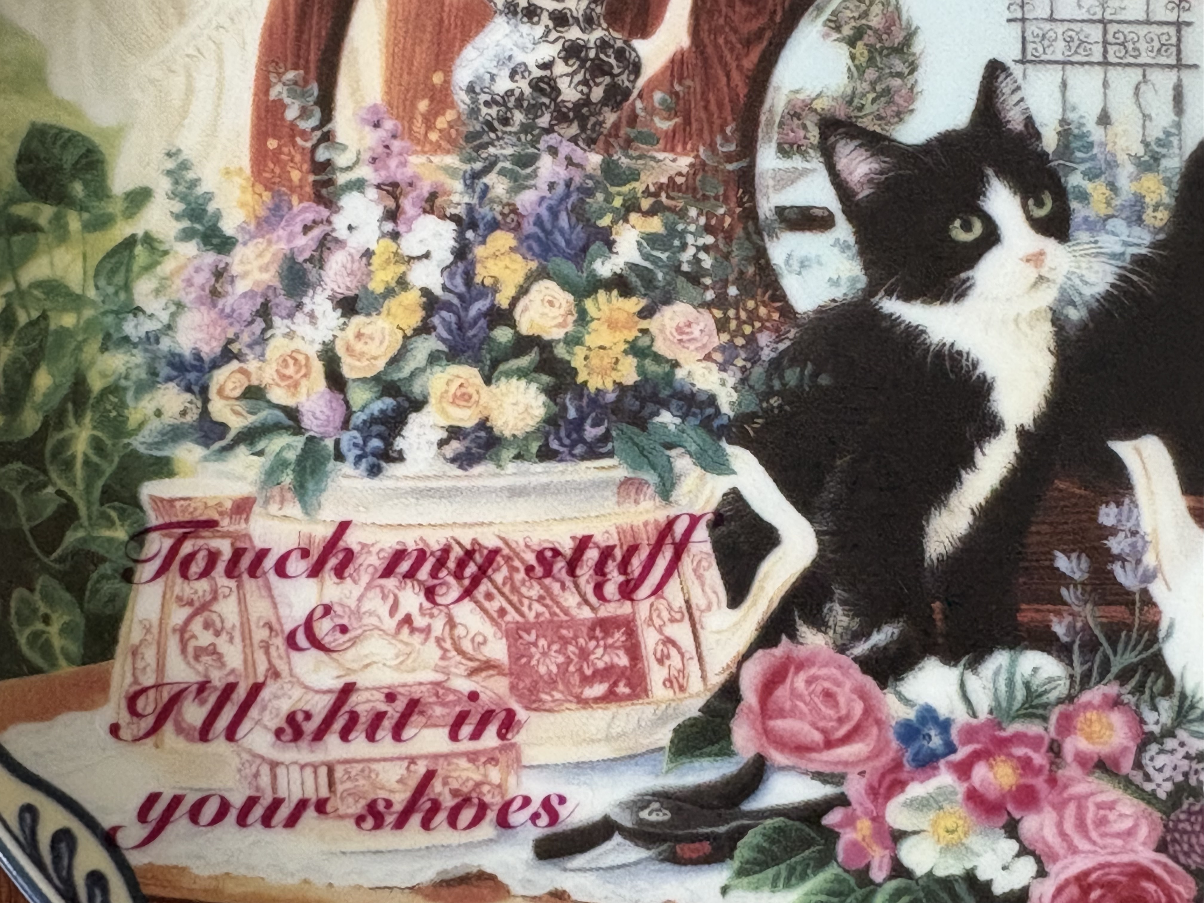 Touch my stuff 