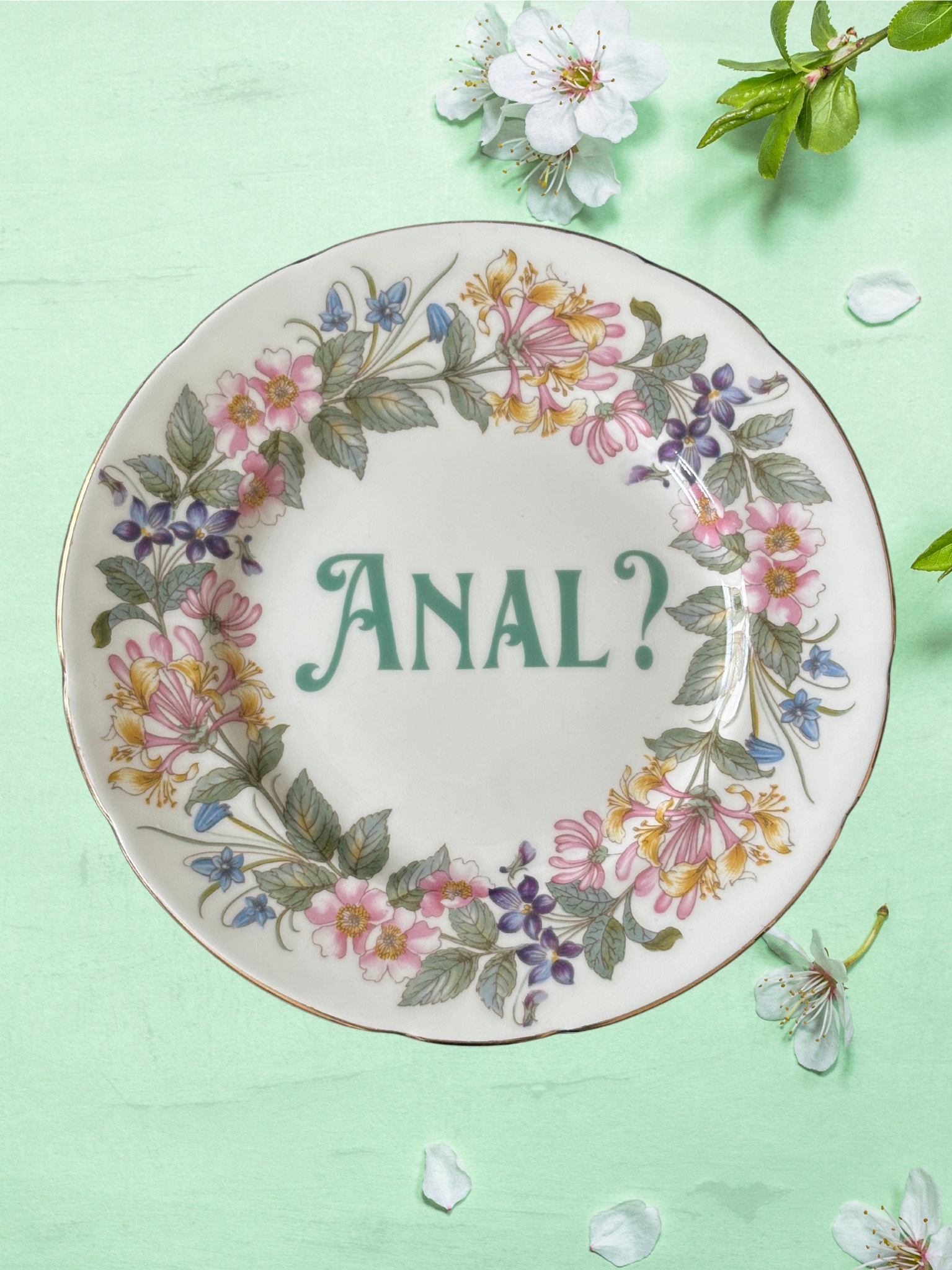 Anal? - Vintage China Plate
