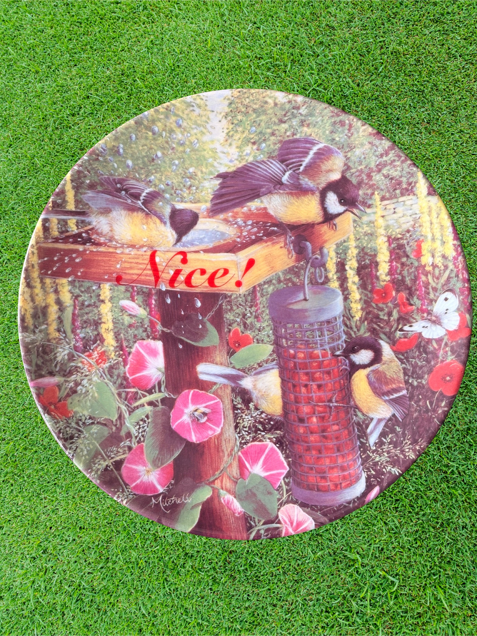 Nice - Vintage Picture Plate