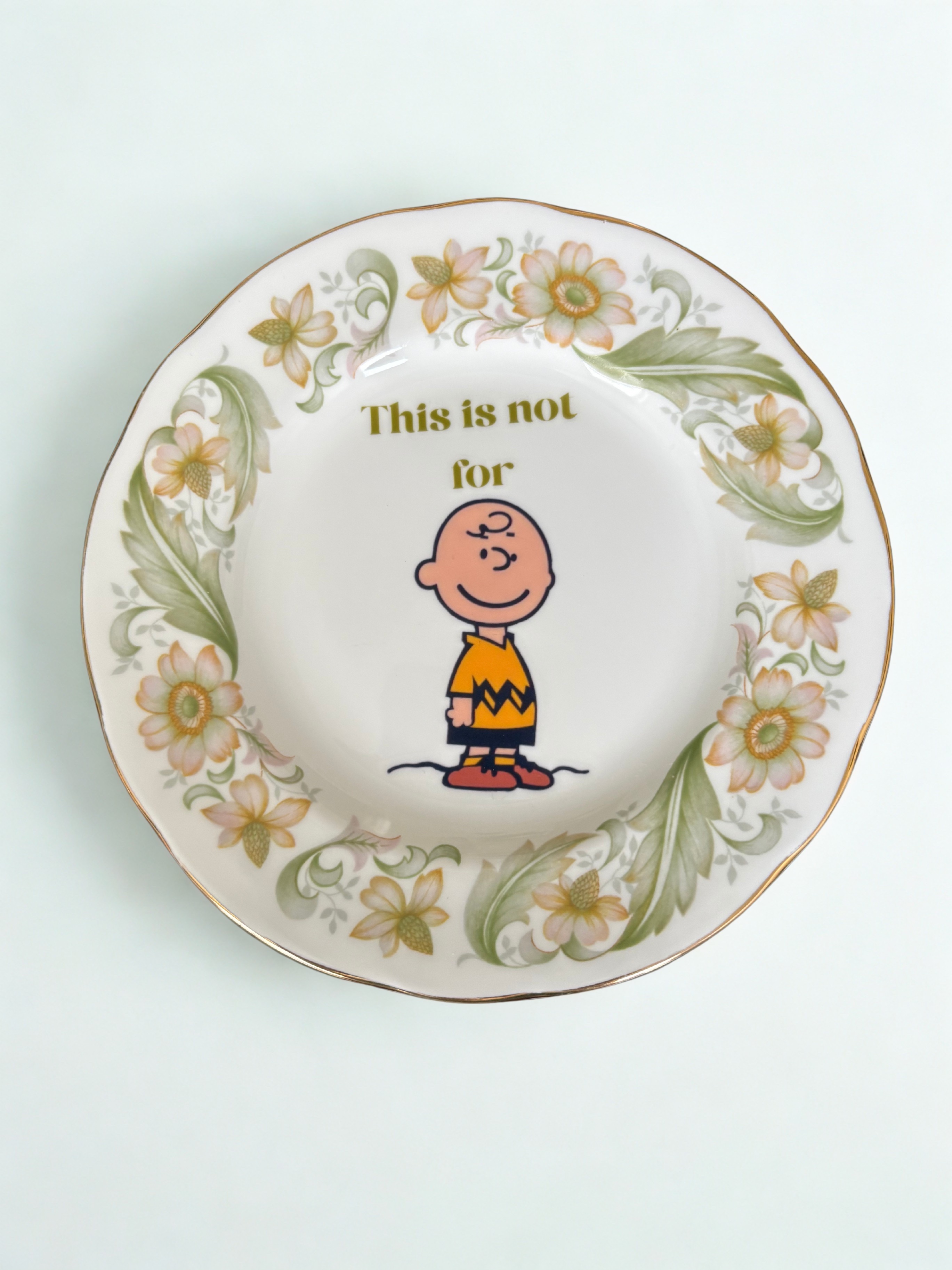 This is not for Charlie - Vintage China Plate