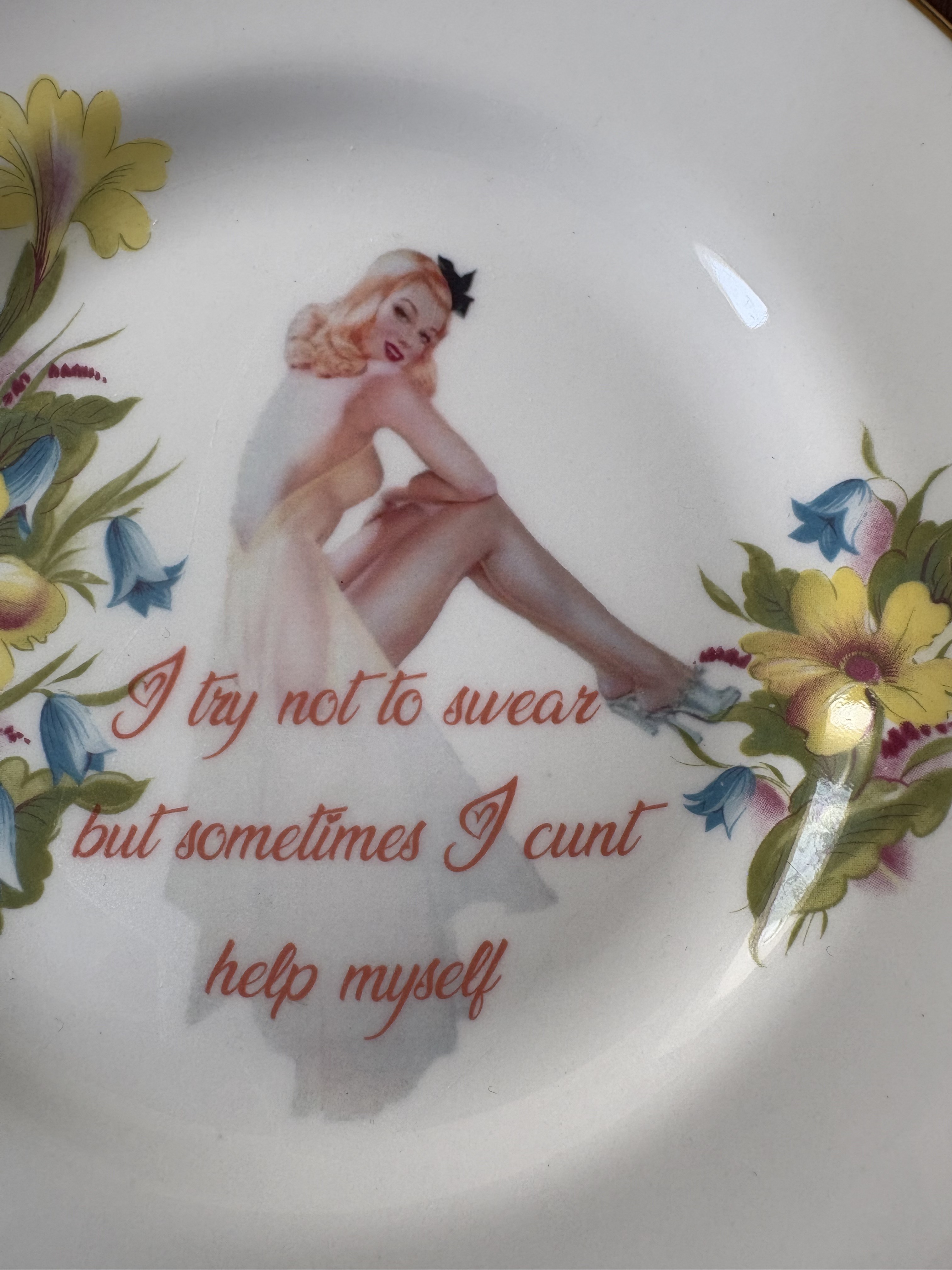 I Try Not to Swear - Vintage China Plate