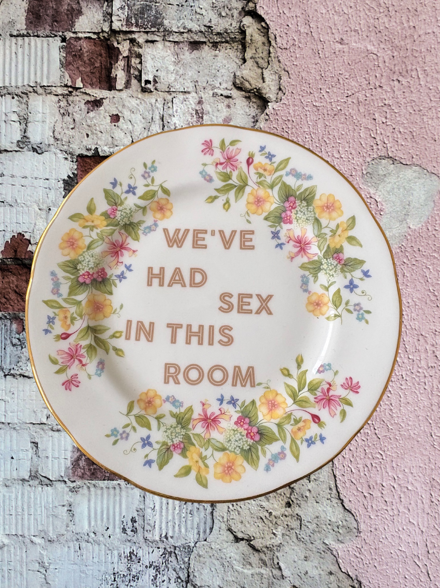 We've Had Sex - Vintage China Plate