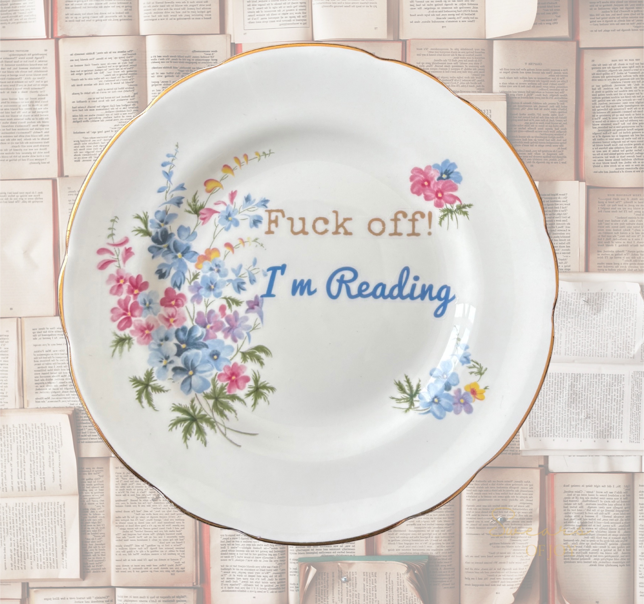Vintage Floral Plate – Fuck Off! I’m Reading