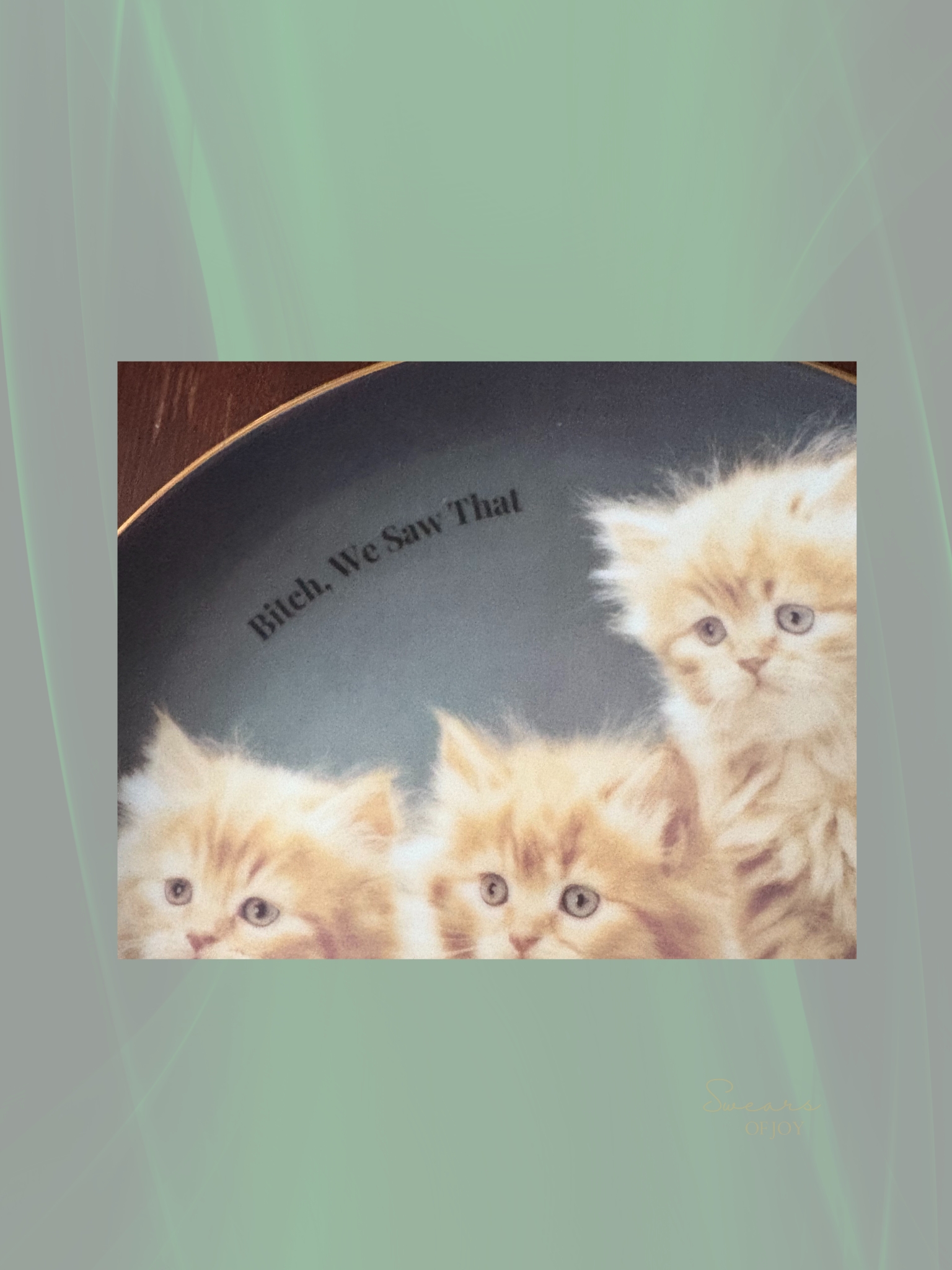 Bitch We Saw That - Vintage Picture Plate