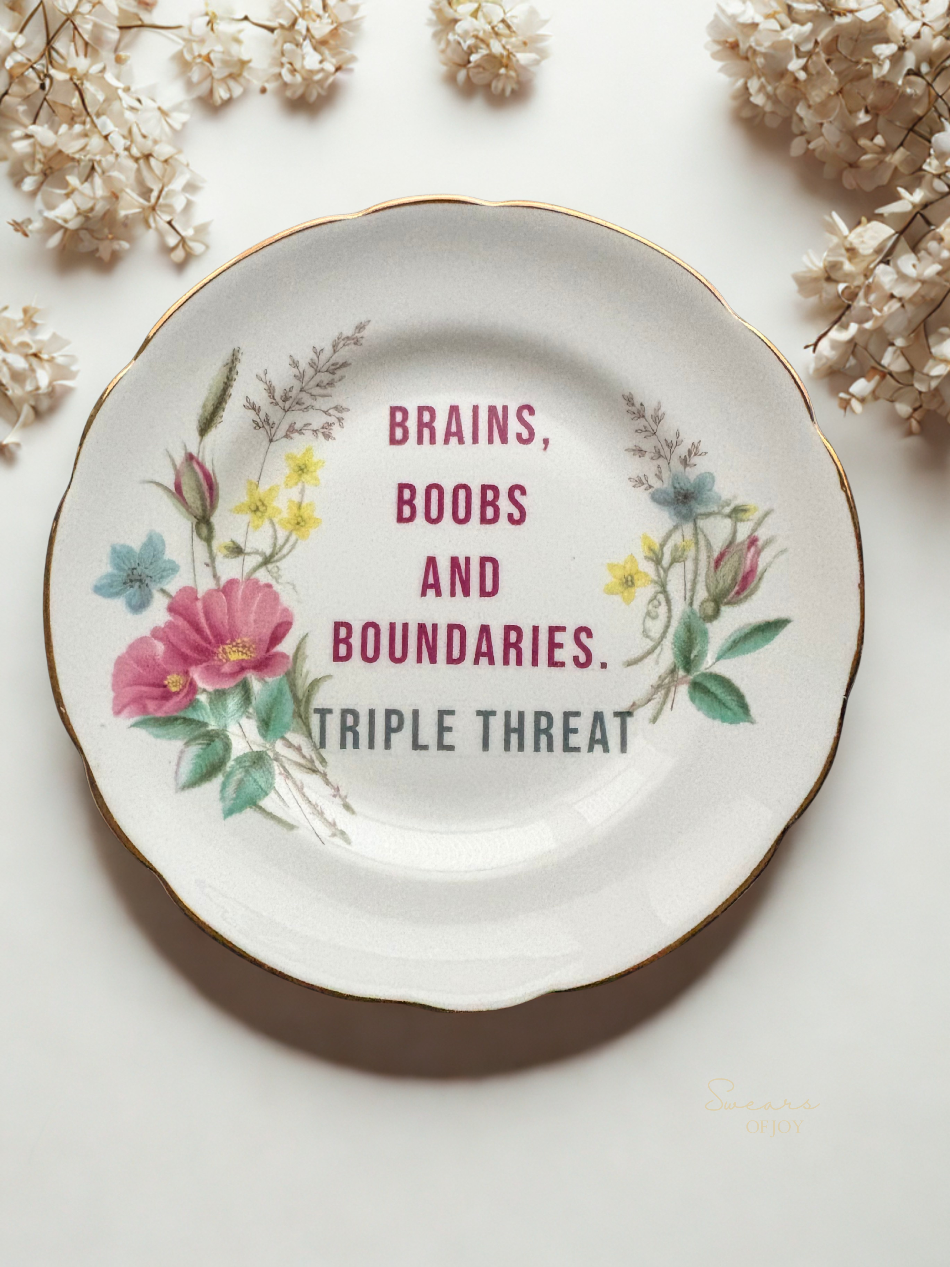 Brains, Boobs and Boundaries. Triple Threat - Vintage China Plate