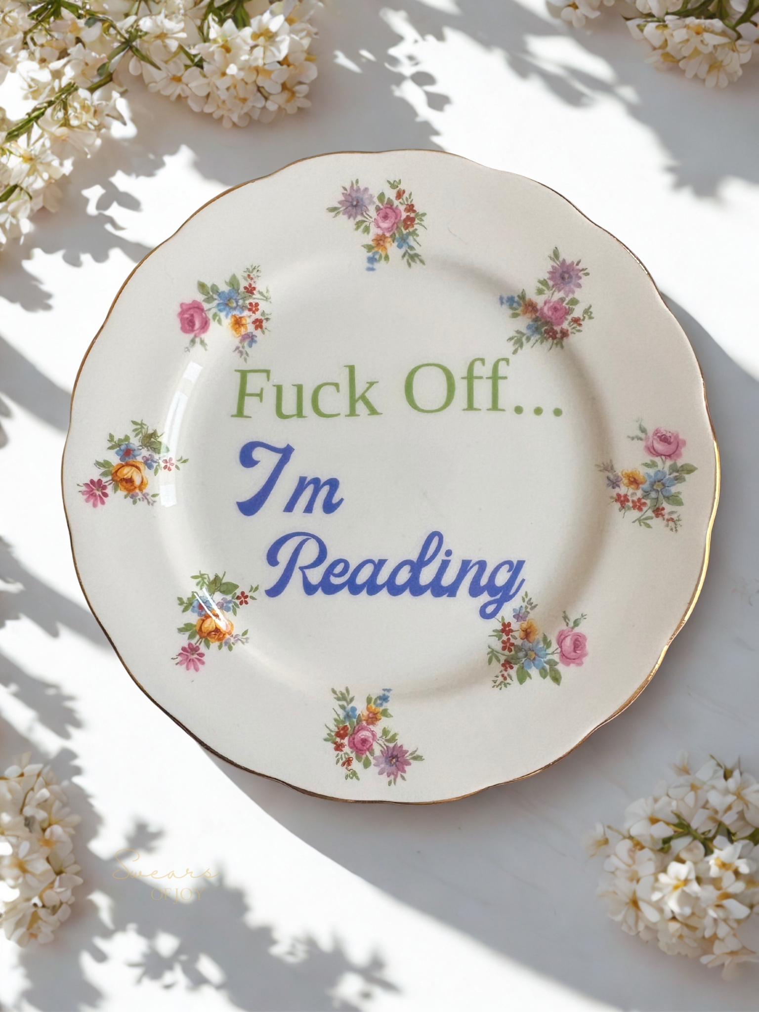Fuck Off...I'm Reading - Vintage China Plate