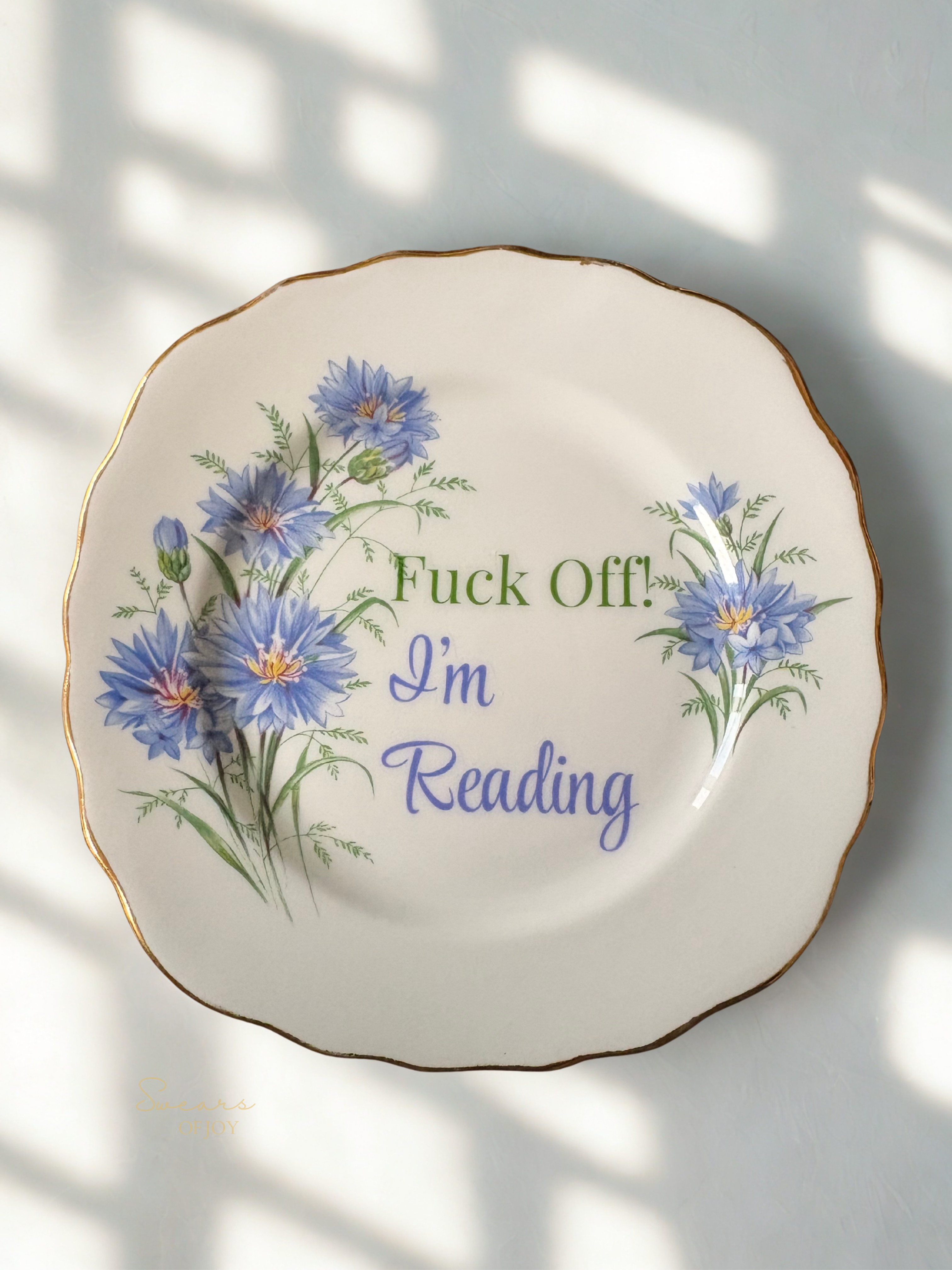 Fuck Off! I'm Reading - Vintage China Plate