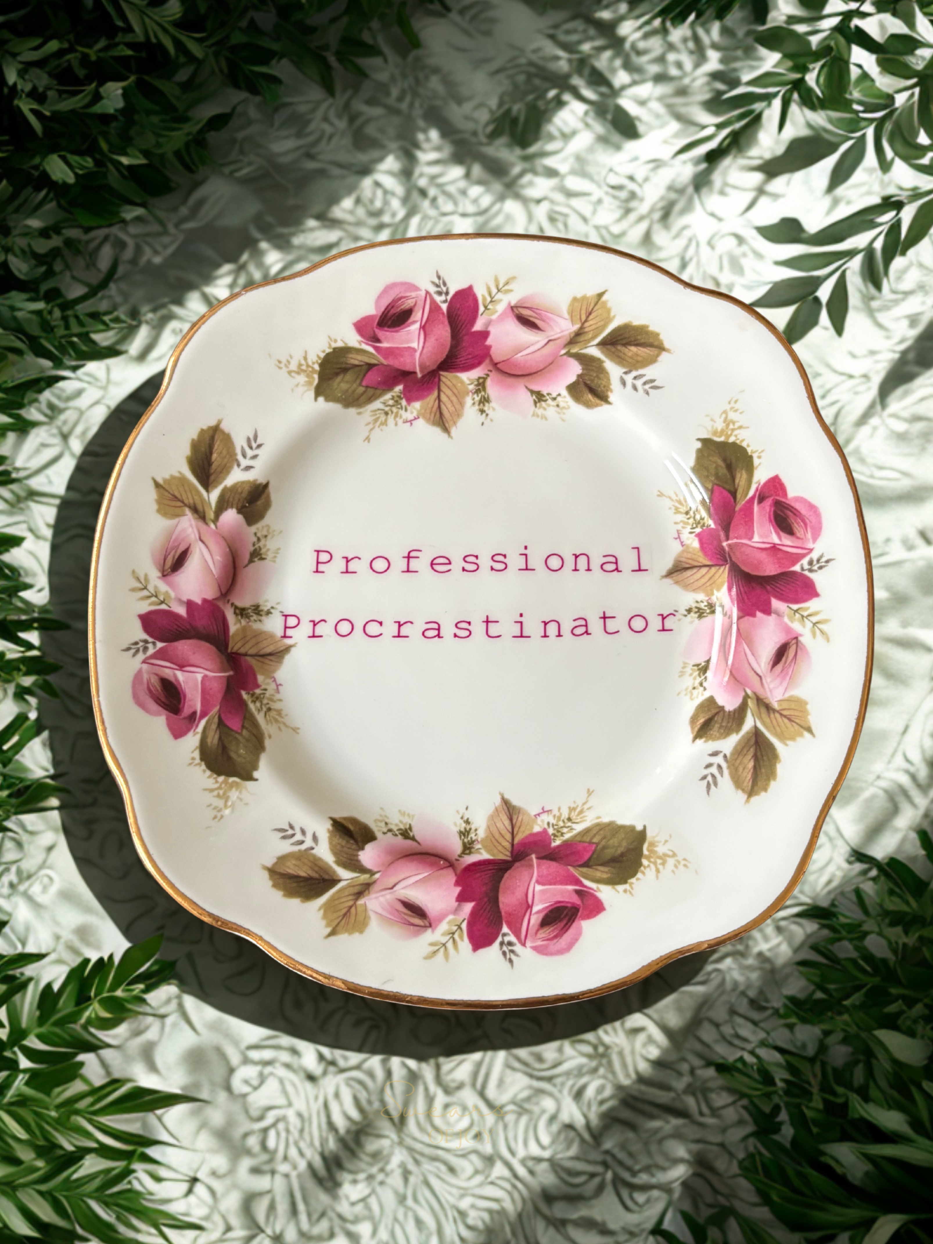 Professional - Vintage China Plate