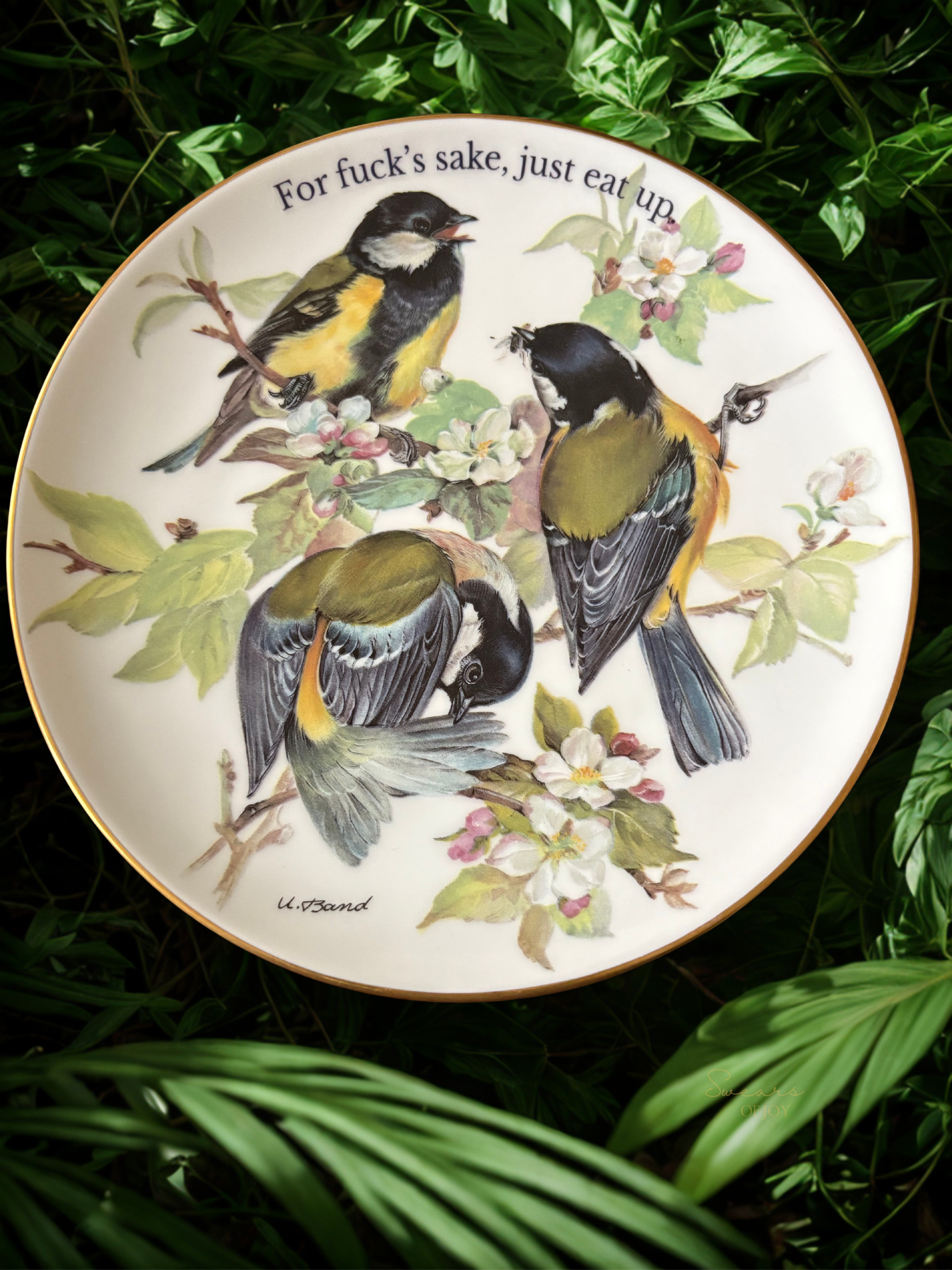 For Fuck's Sake - Vintage Picture Plate