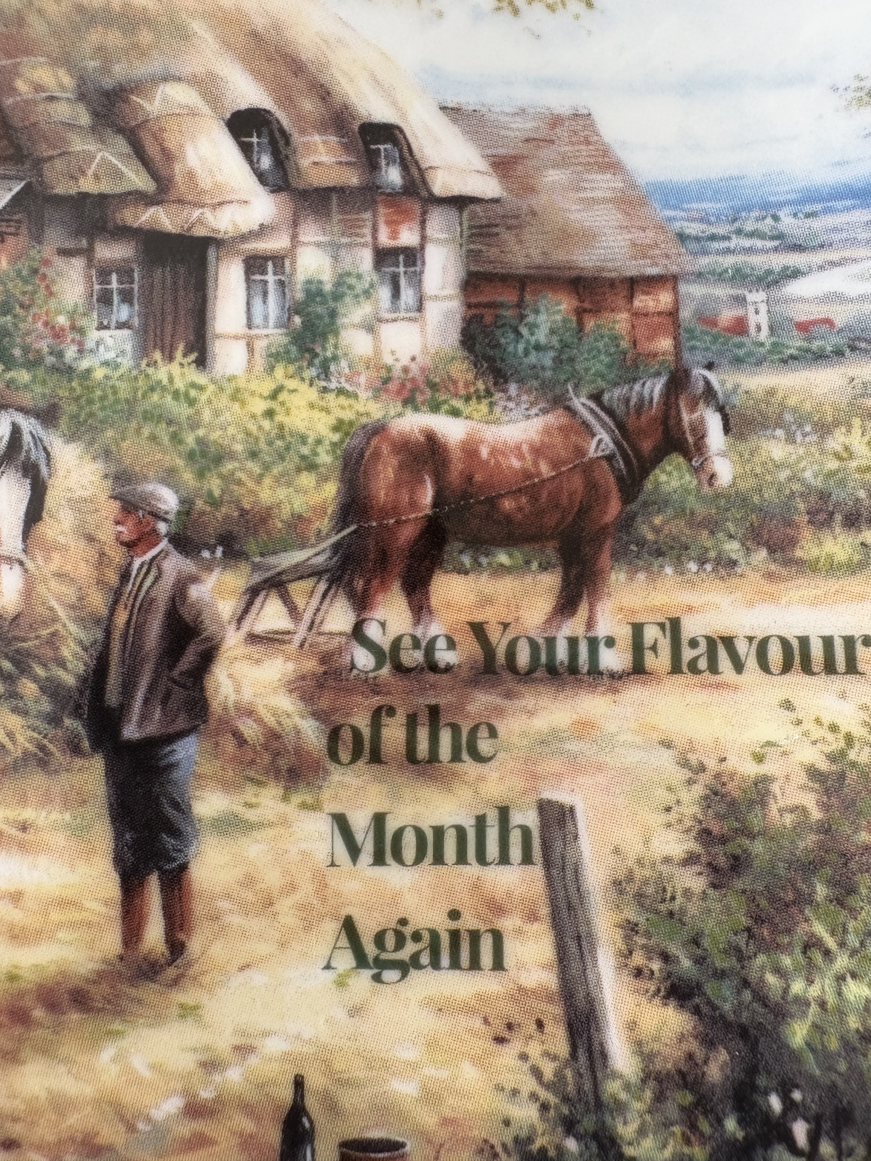 See Your Flavour of the Month Again - Vintage Picture Plate