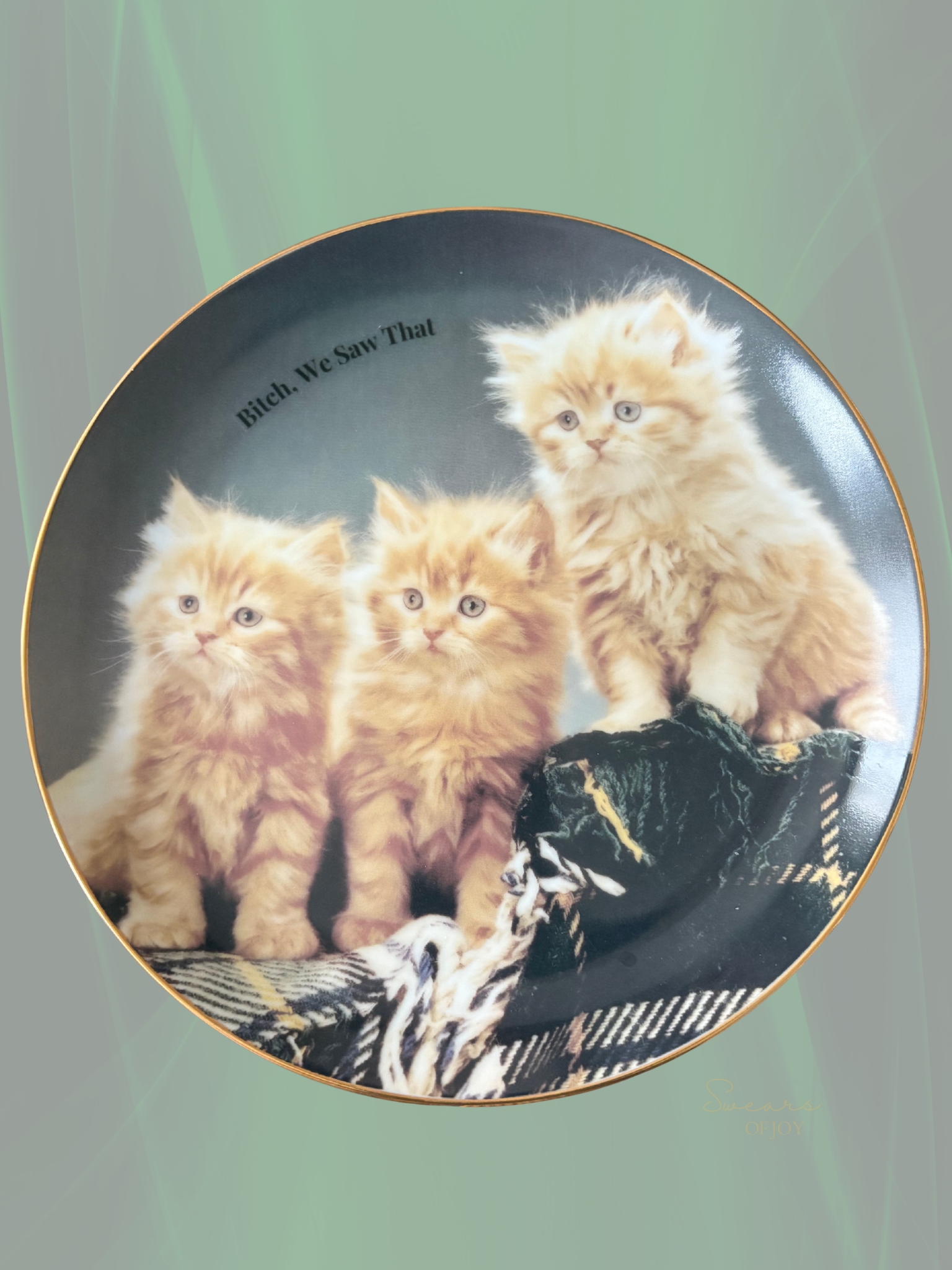 Bitch We Saw That - Vintage Picture Plate