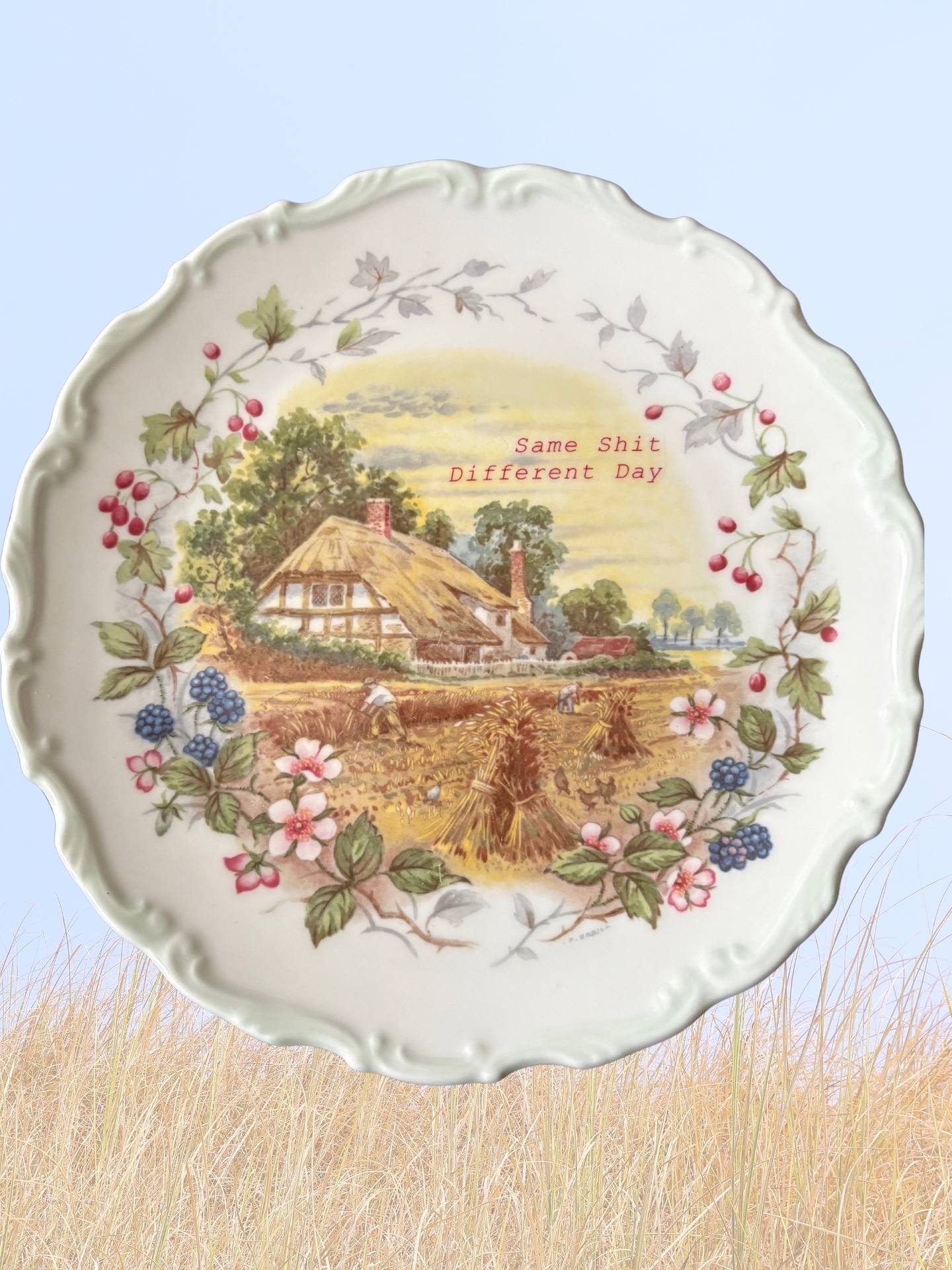 Same Shit - Vintage Picture Plate
