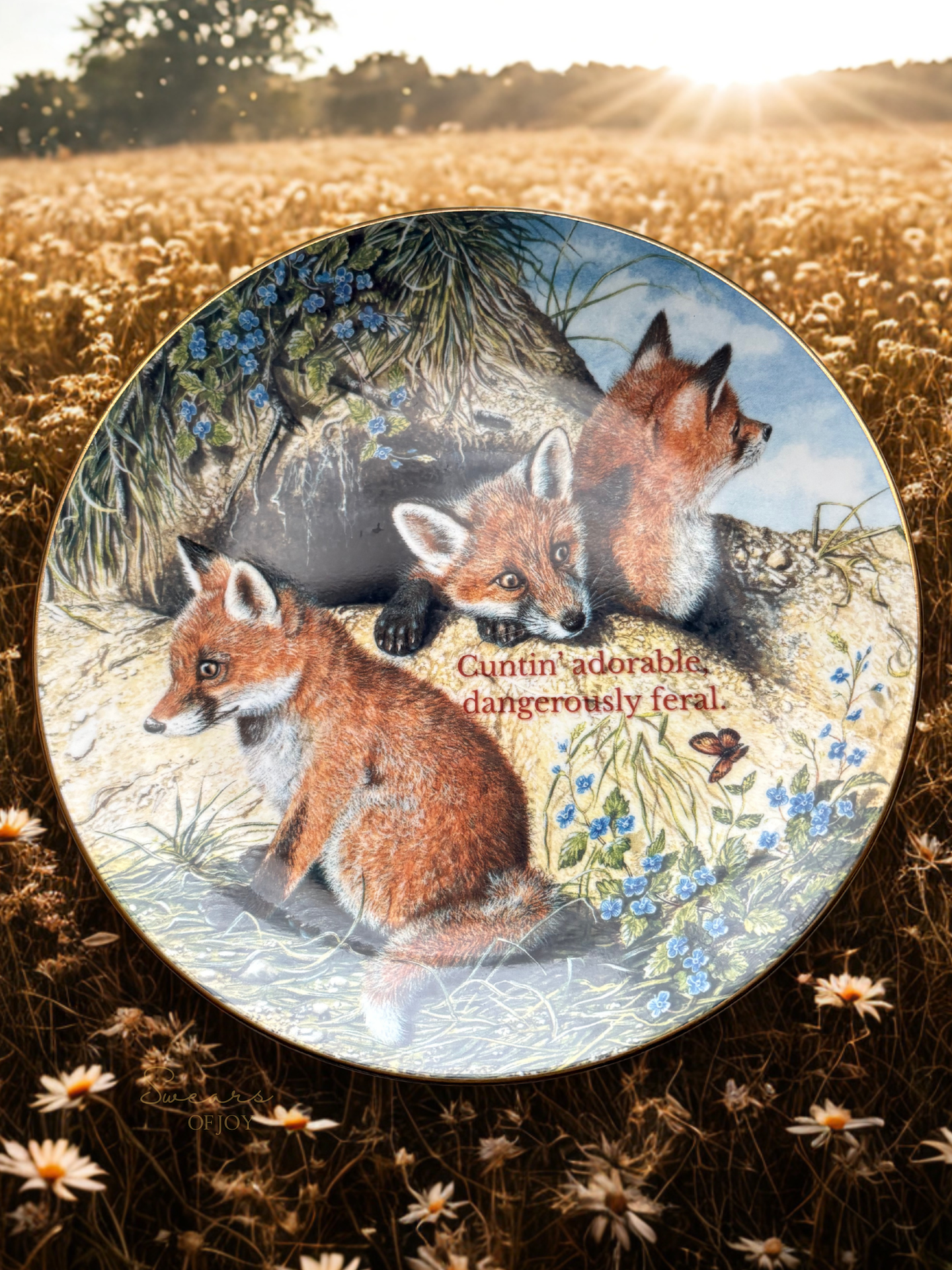 Cuntin adorable, - Vintage Picture Plate