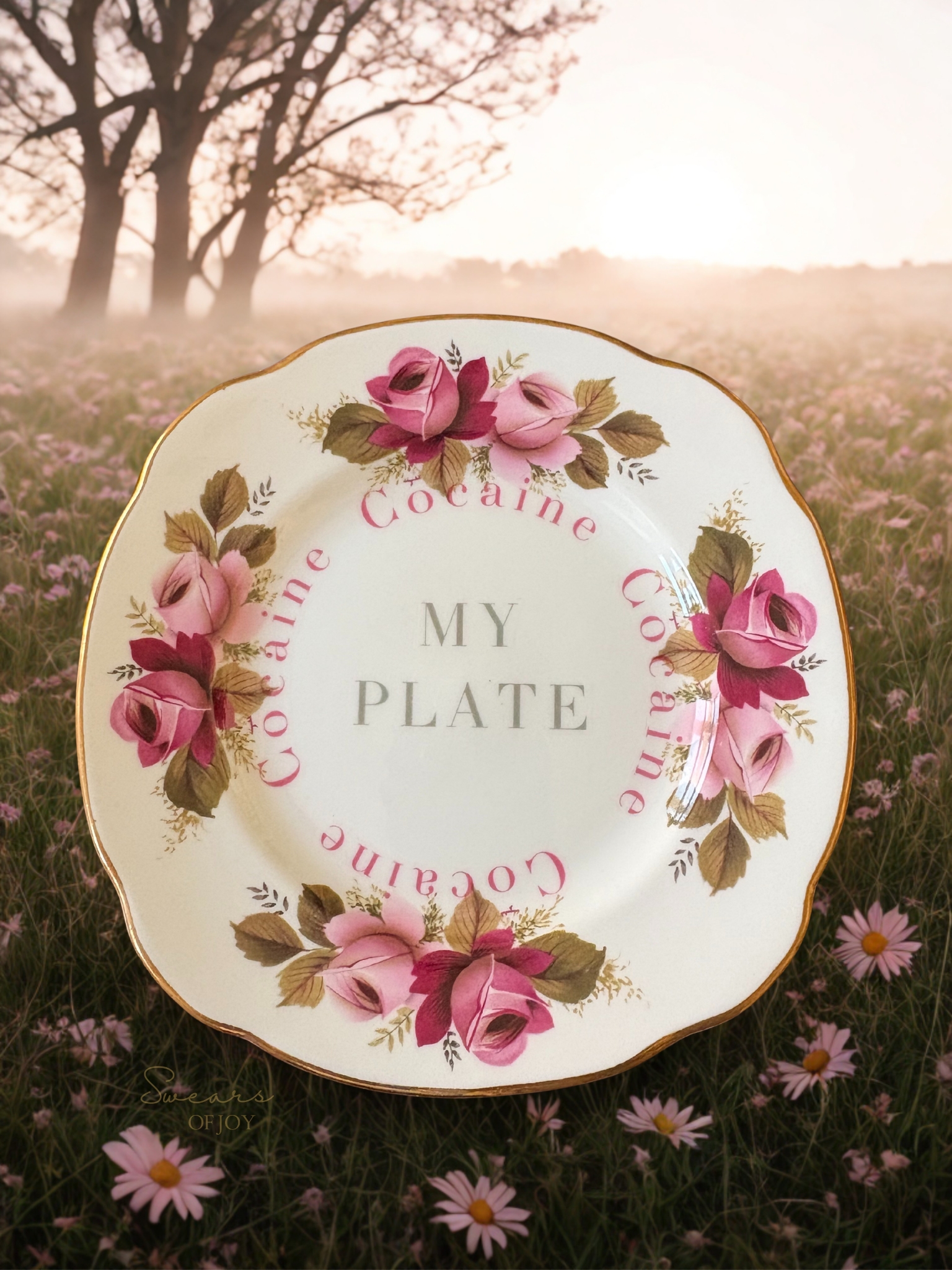 MY PLATE (Cocaine) - Vintage China Plate