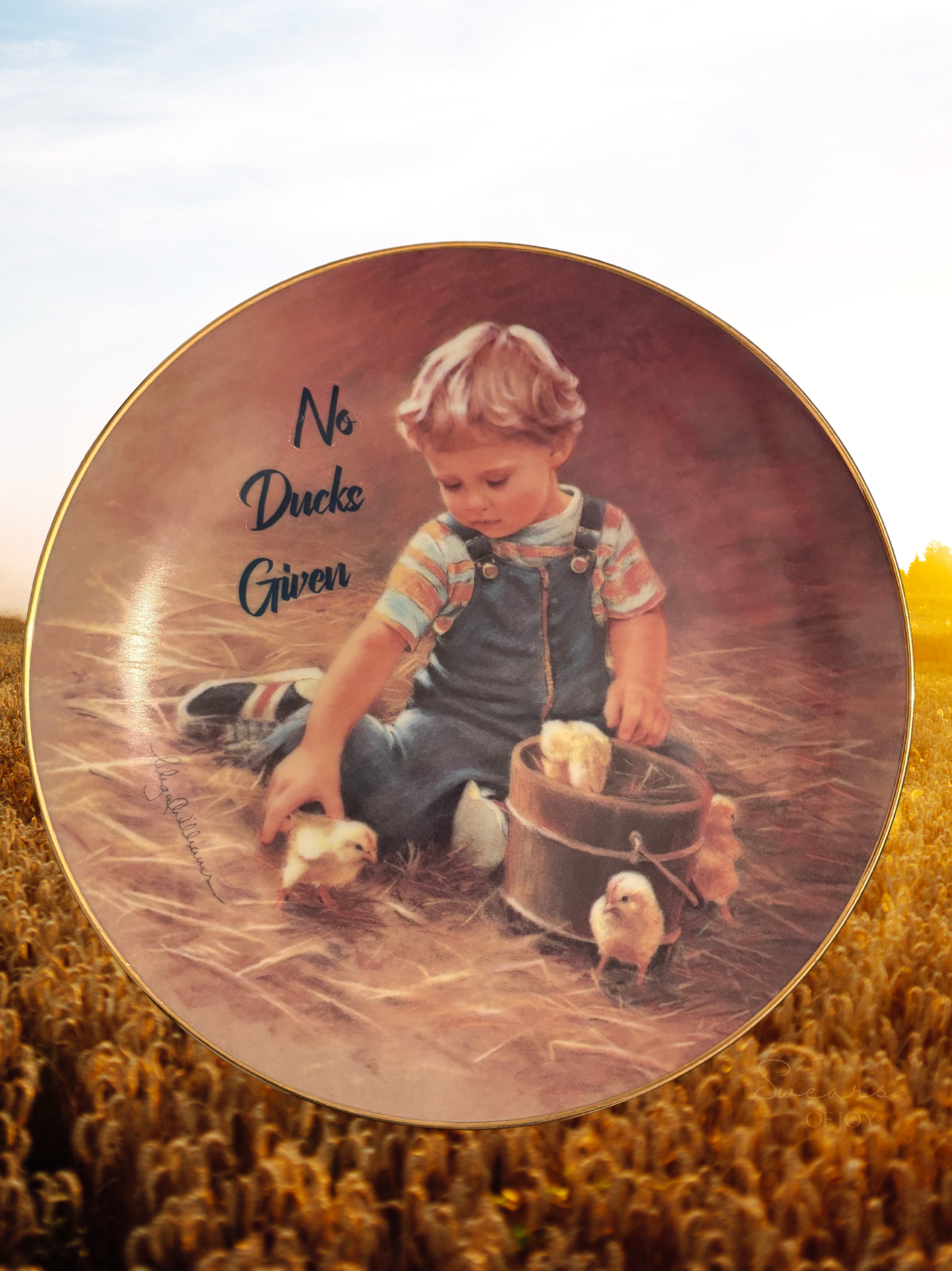 No Ducks Given - Picture Plate