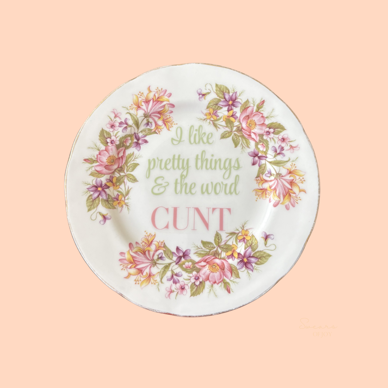 I Like Pretty Things & The Word Cunt – Vintage China Plate