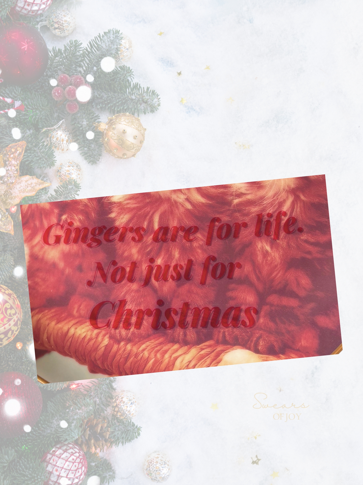 Gingers Are for Life, Not Just for Christmas – Vintage Picture Plate