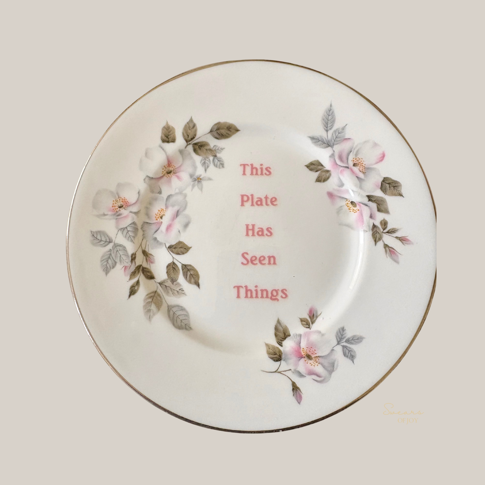This Plate Has Seen Things – Vintage Floral China Plate