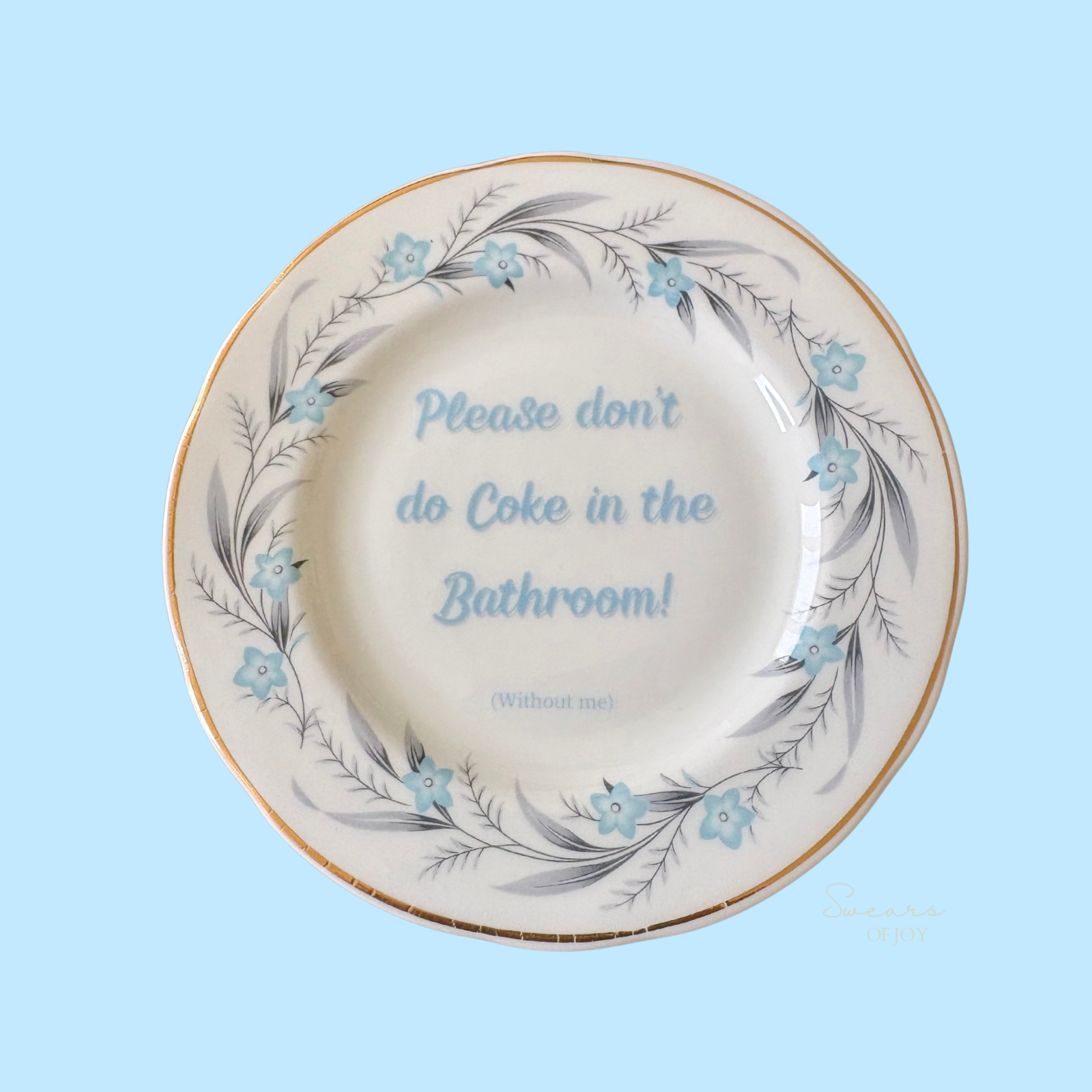 Please Don’t Do Coke in the Bathroom! Vintage Bathroom Humour Plate