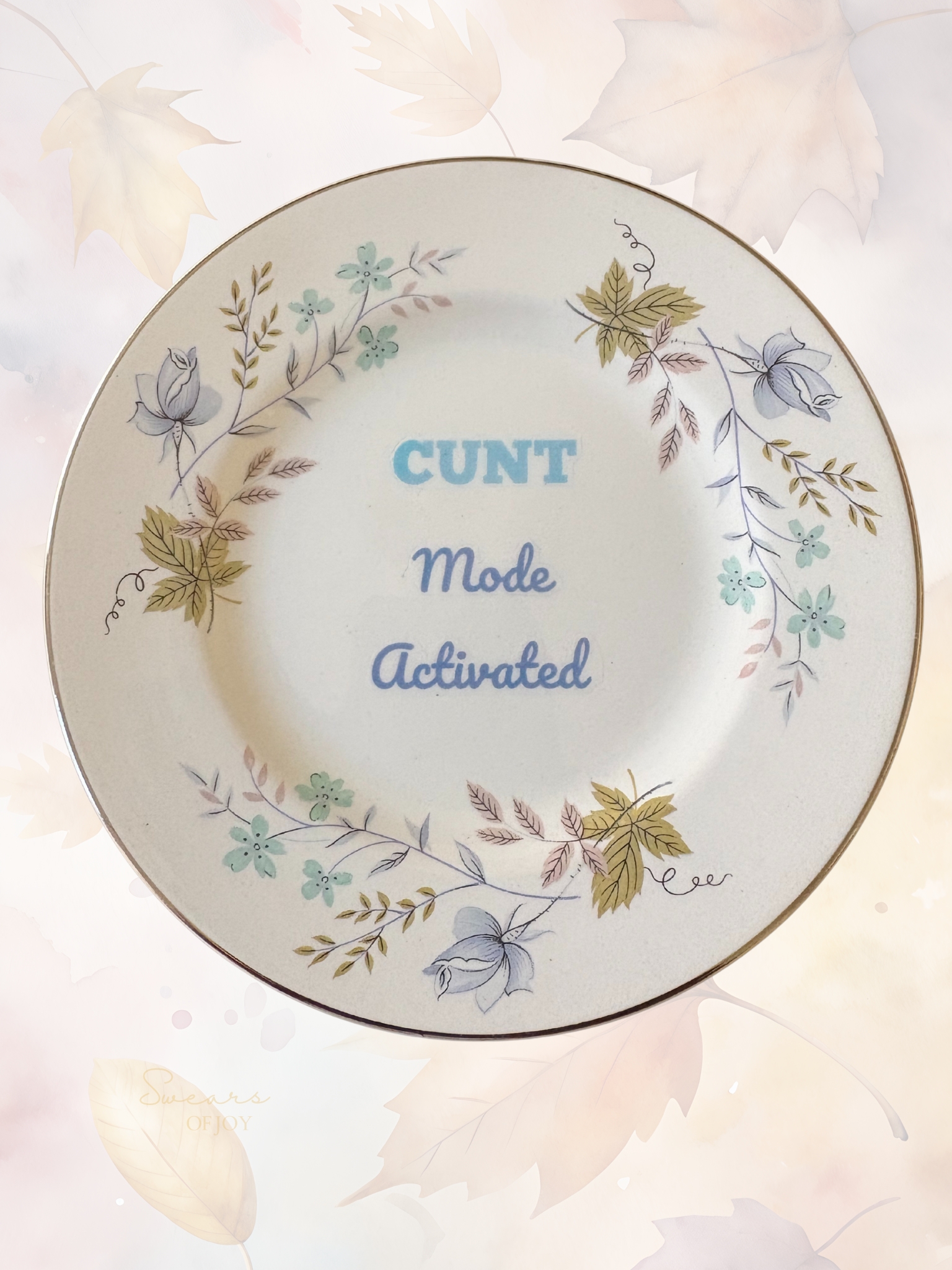 Cunt Mode Activated - Vintage China Plate