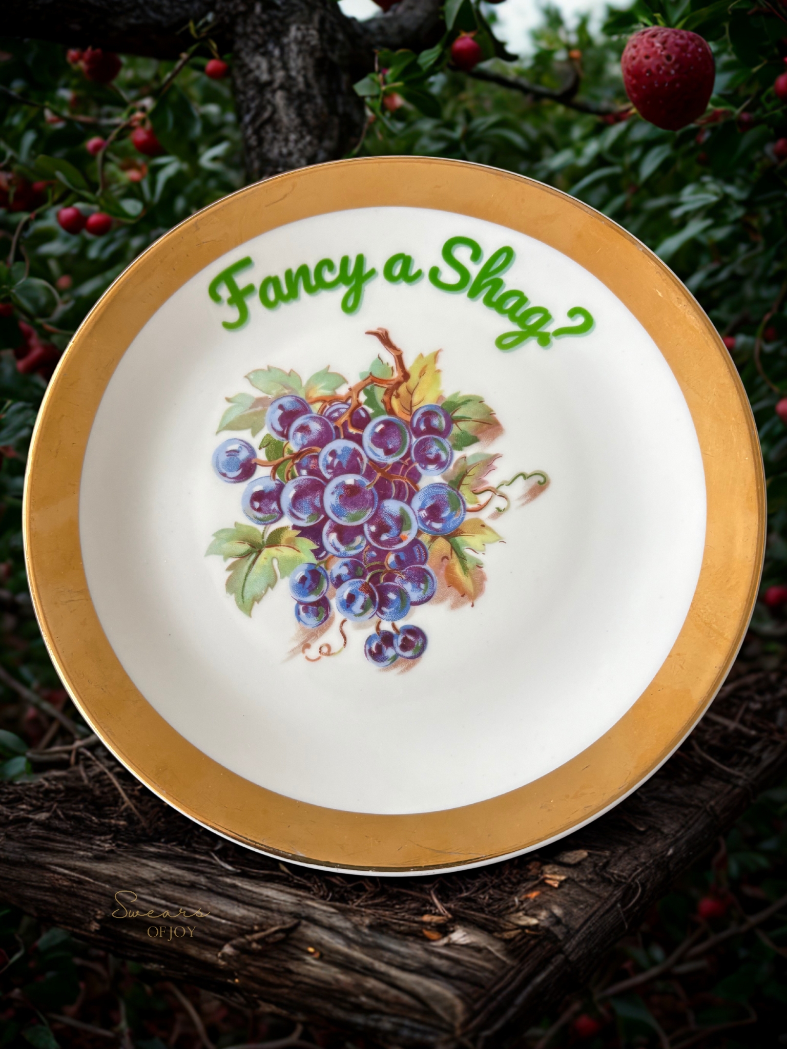 Fancy A Shag? - Vintage Picture Plate